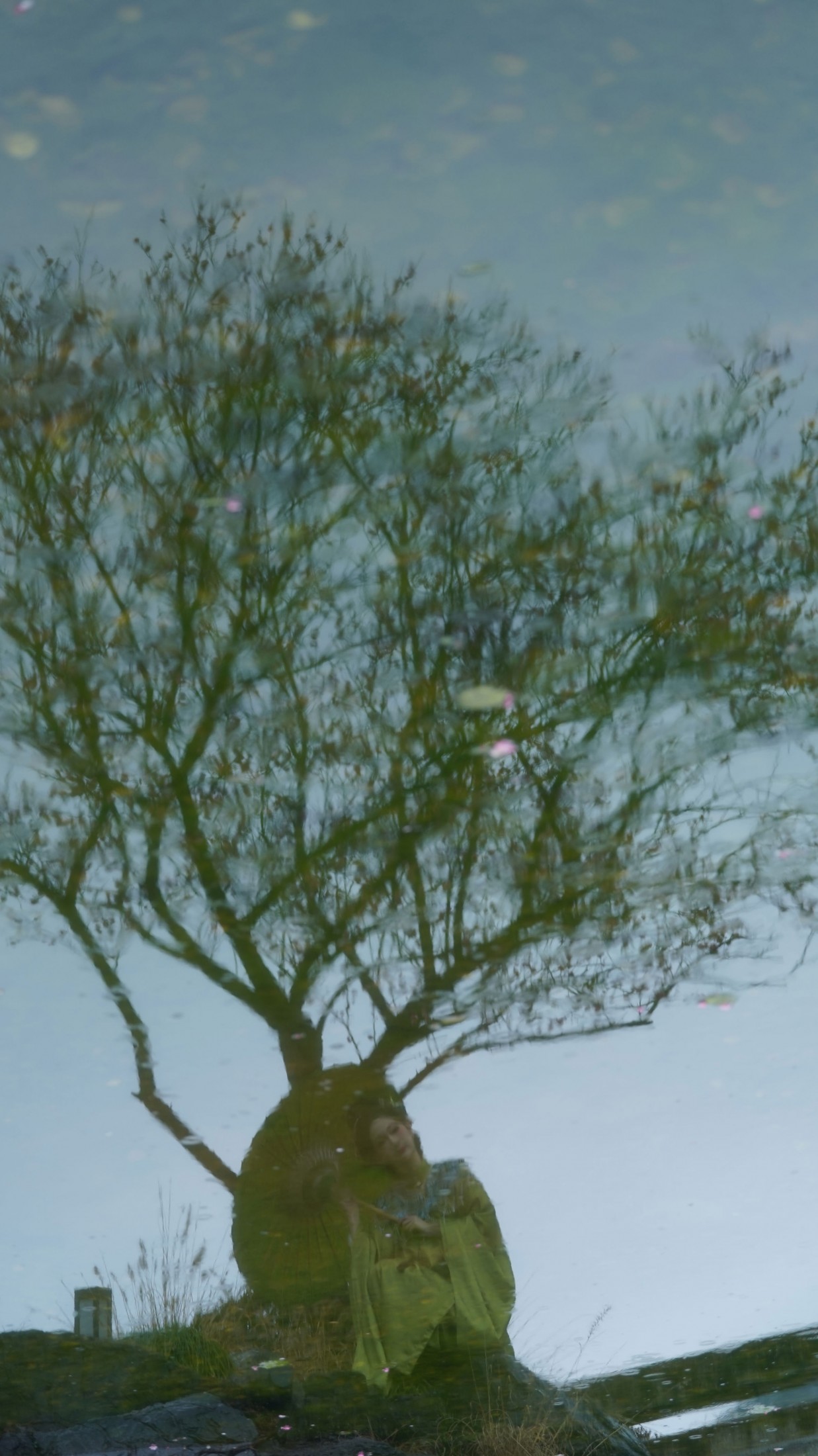 《傲骨寒梅》[15P]