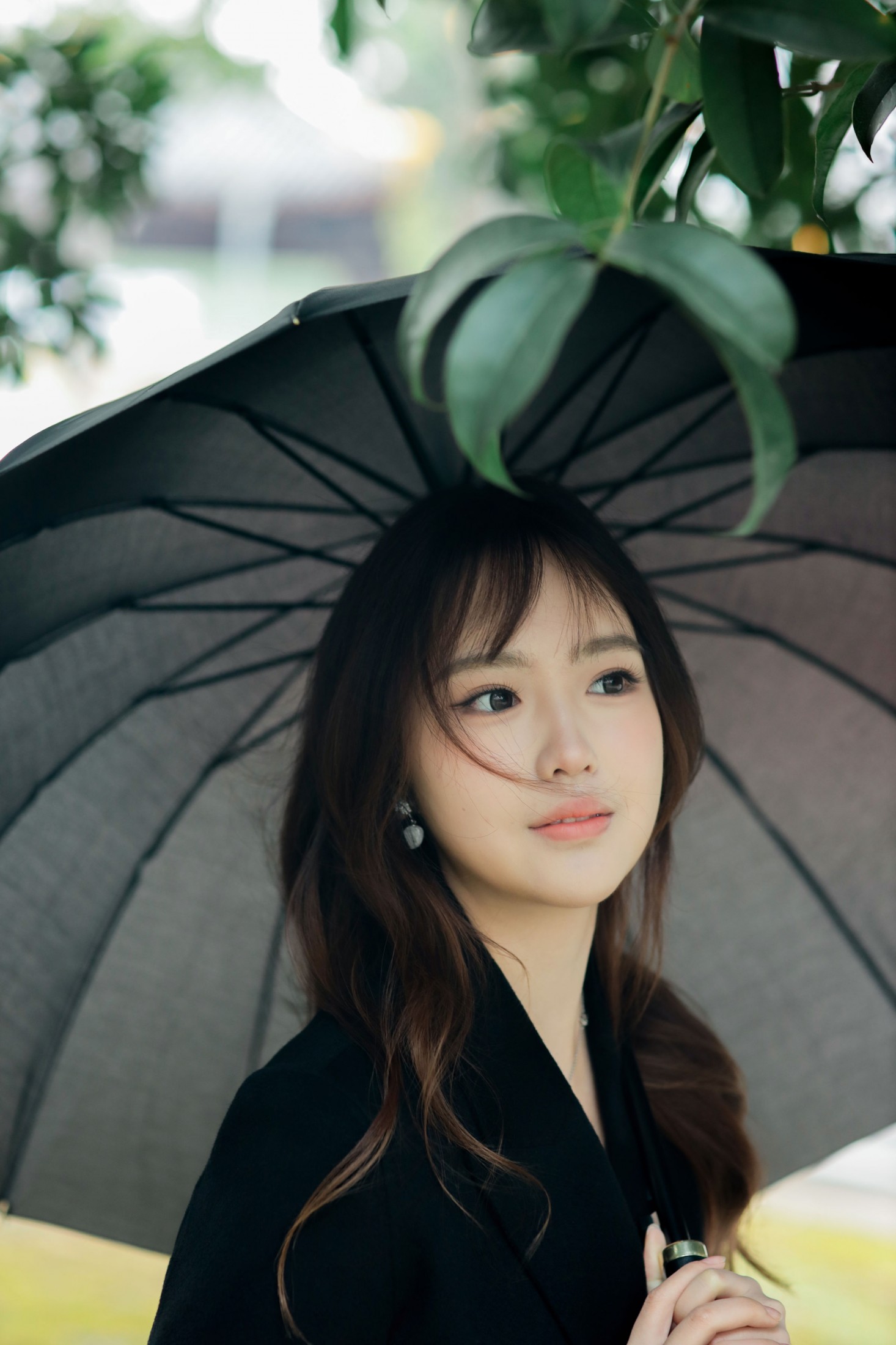 小绿 - 《绿荫》[26P]