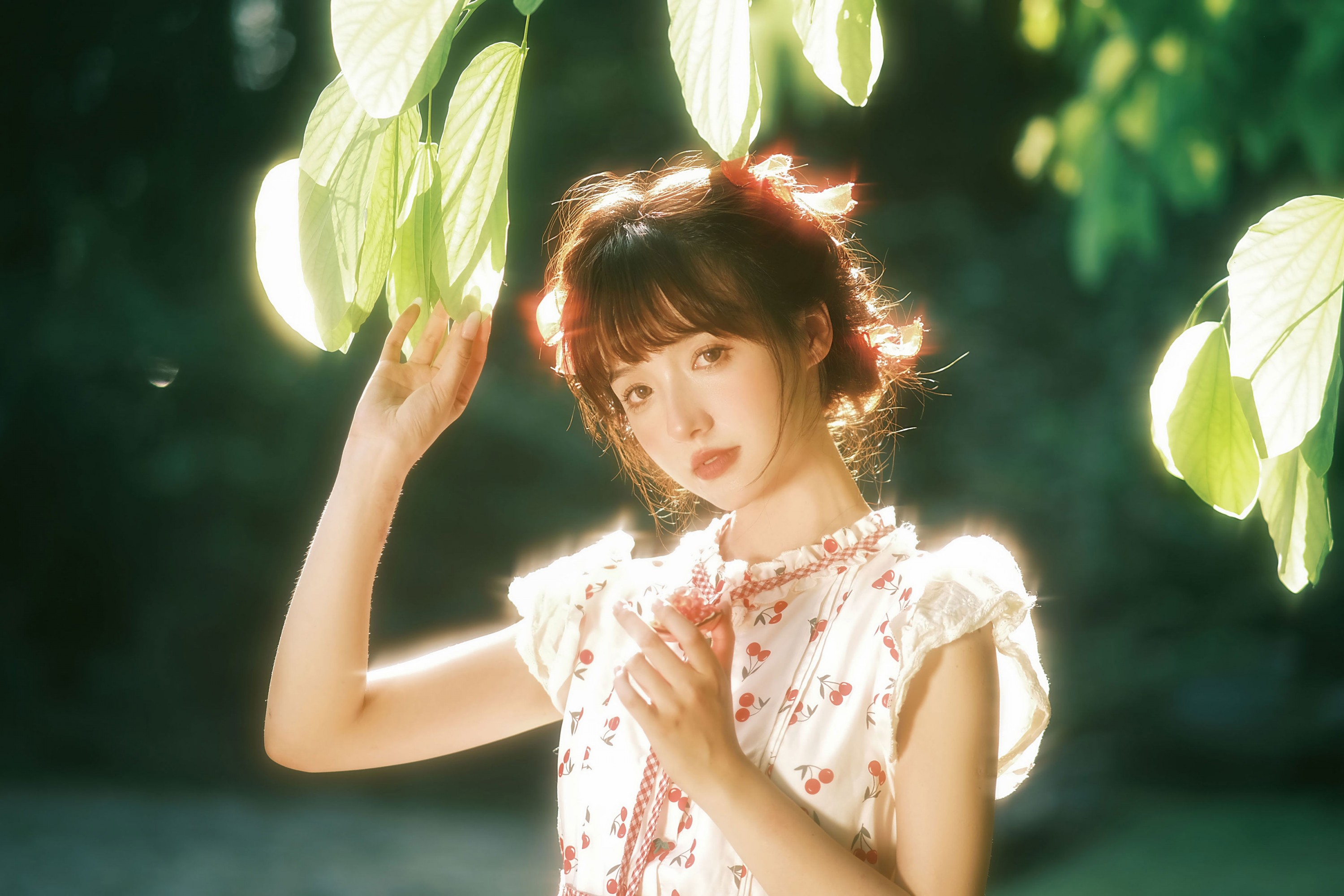 阳曦 - 《红石榴之恋》[14P]