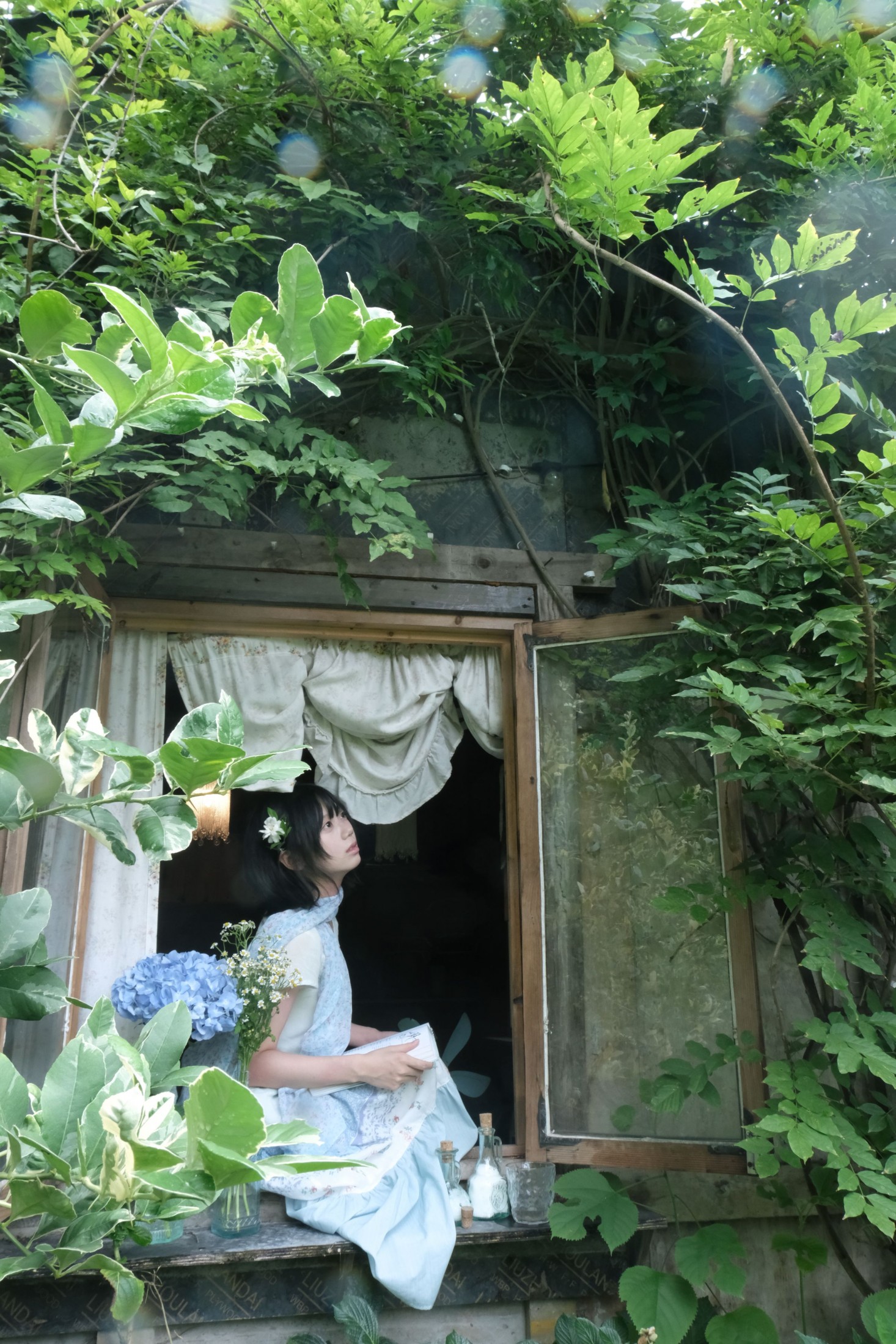 《夏天周而复始》[12P]