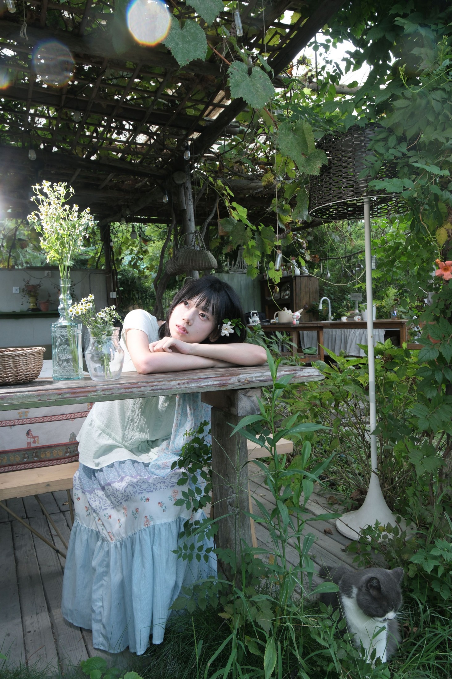 《夏天周而复始》[12P]