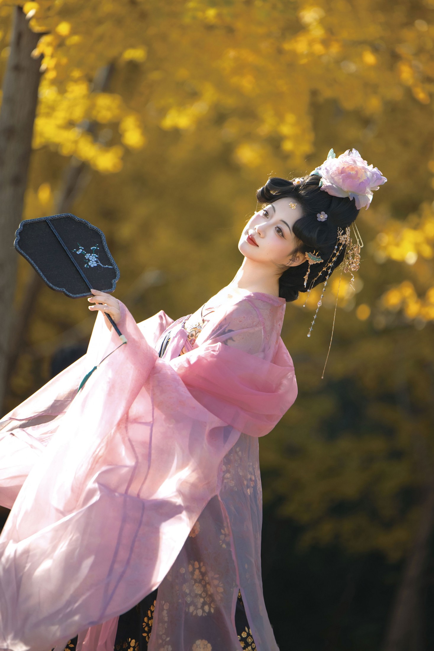 赵噗噗 - 《别把自由的风叫流浪》[19P]