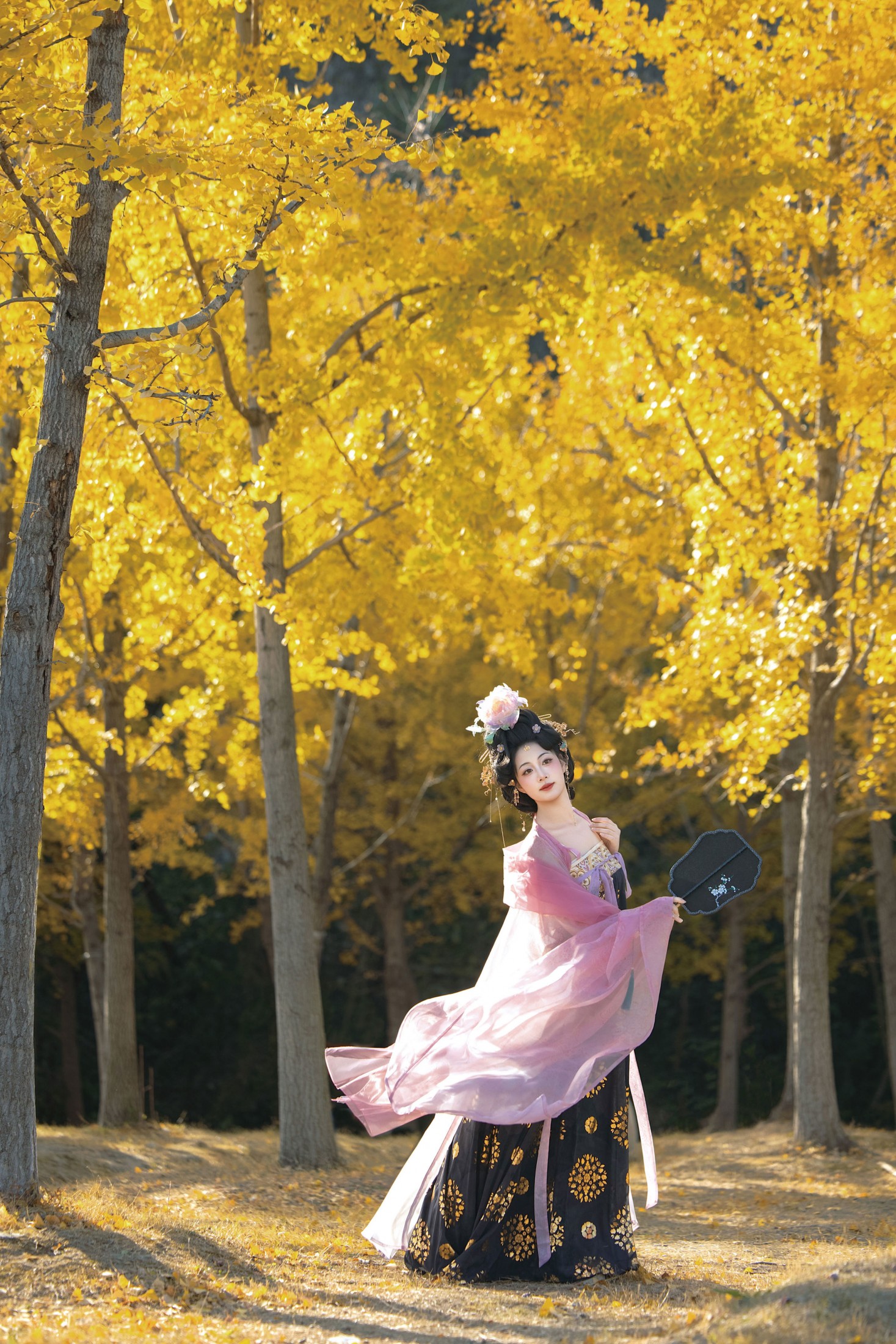 赵噗噗 - 《别把自由的风叫流浪》[19P]