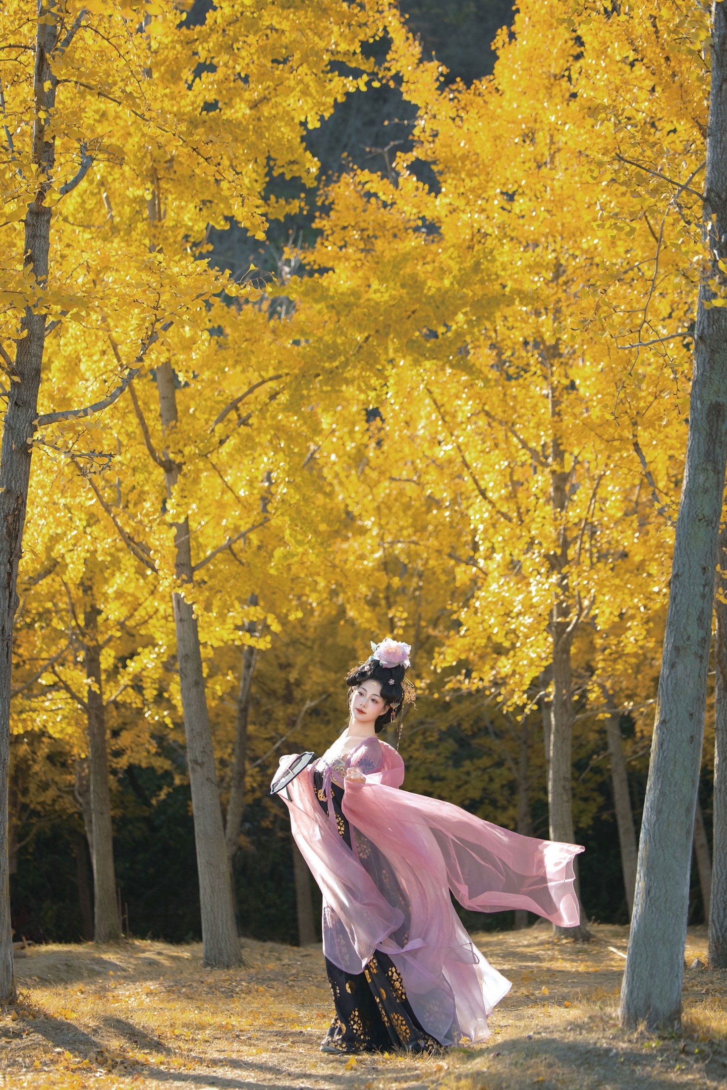 赵噗噗 – 《别把自由的风叫流浪》[19P]