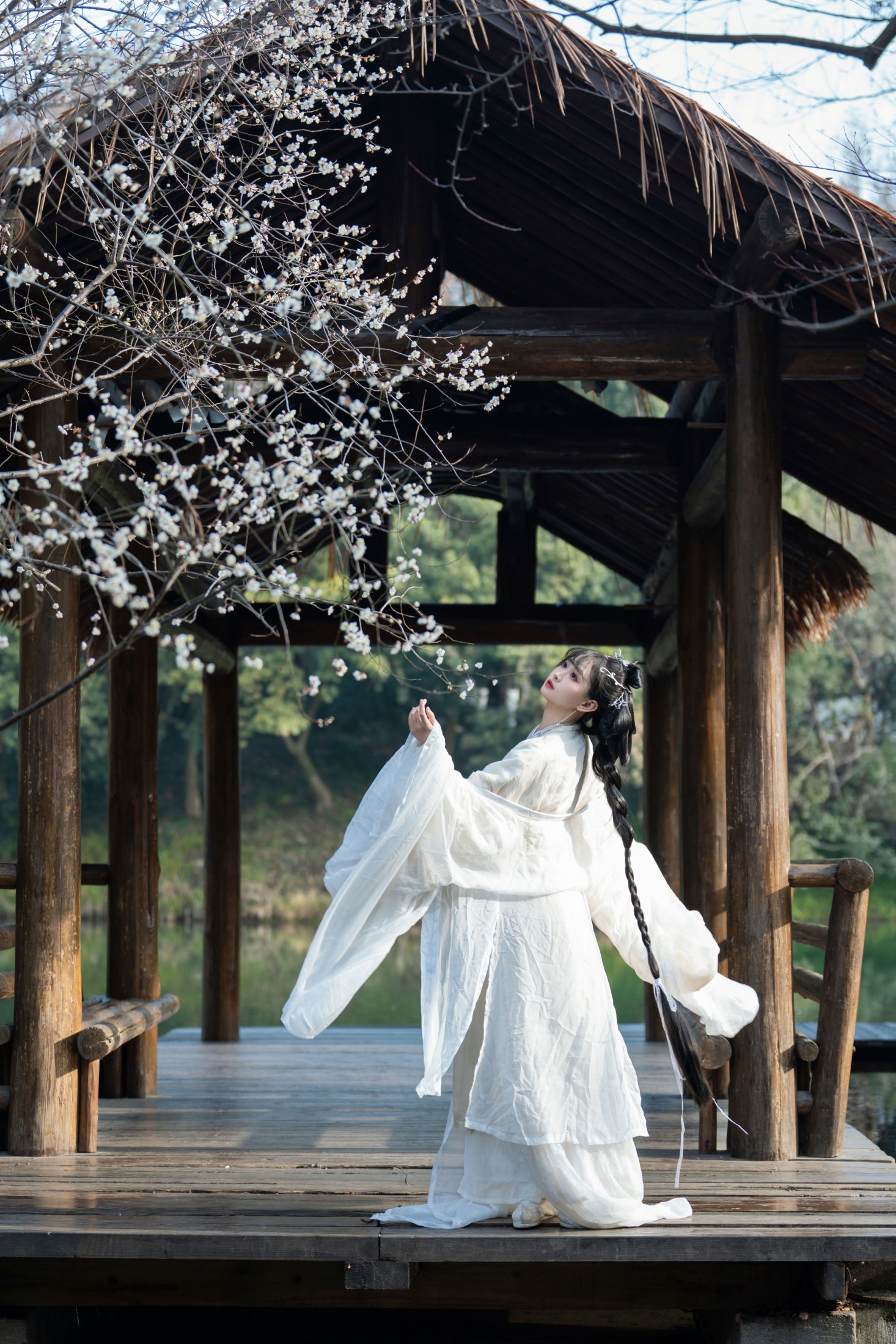 湫一只岁岁 - 《梅花独自开》[49P]