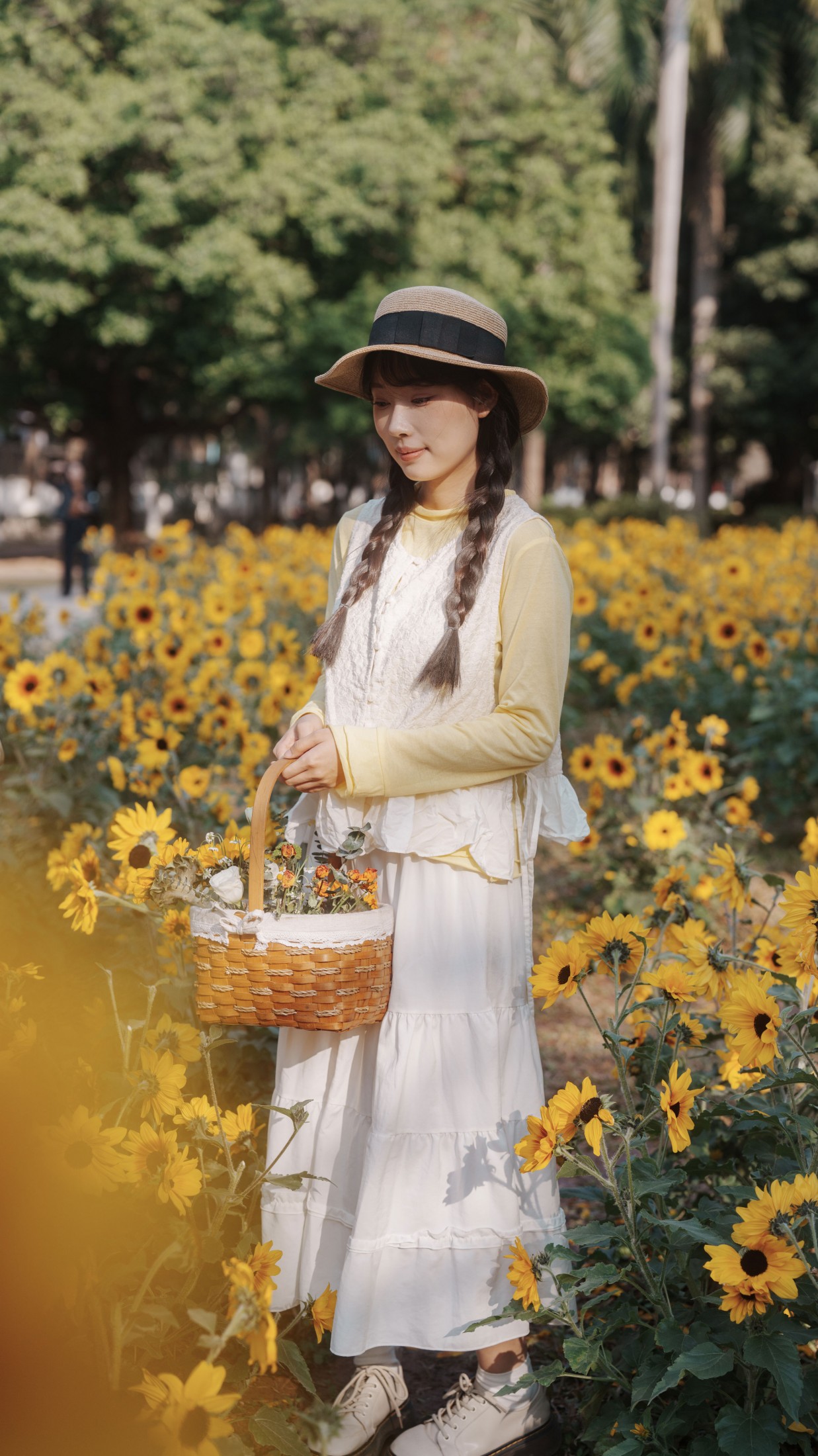 南伊 - 《向阳而生》[48P]