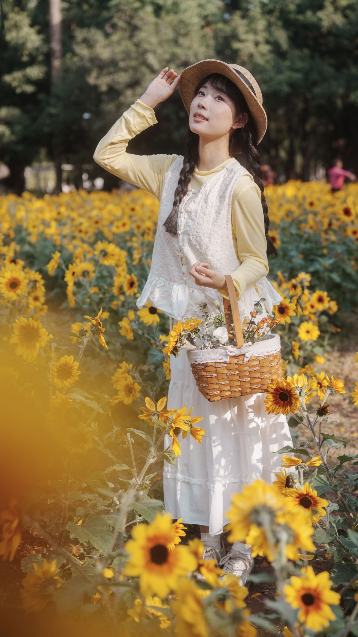 南伊 – 《向阳而生》[48P]