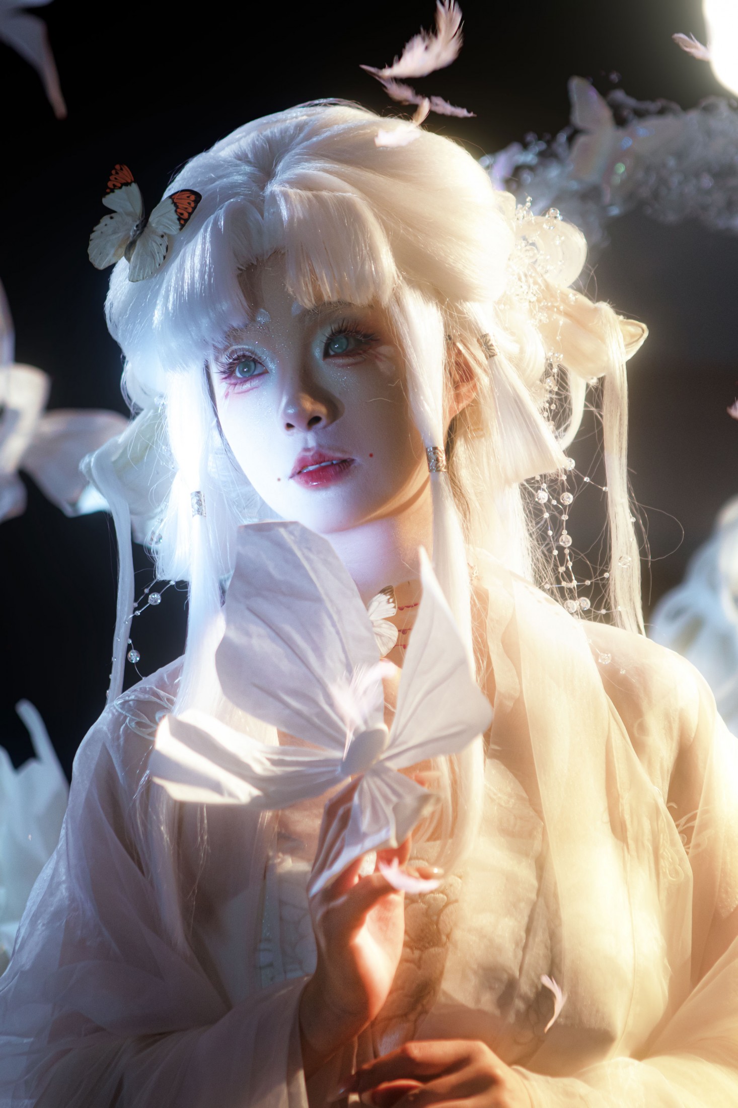 蔸小黄鸡 - 《梦蝶》[9P]