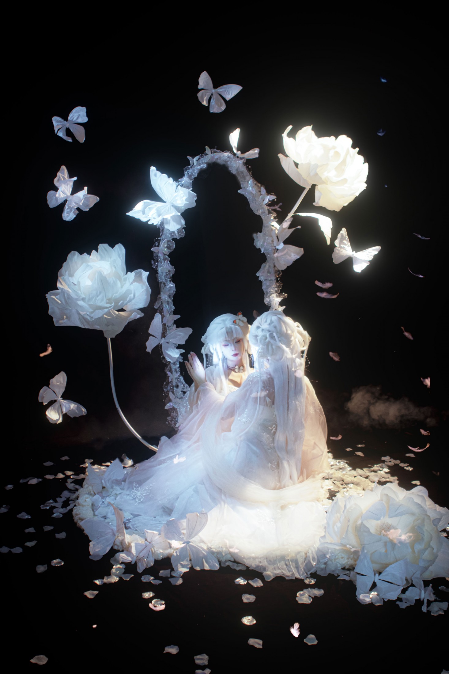 蔸小黄鸡 - 《梦蝶》[9P]