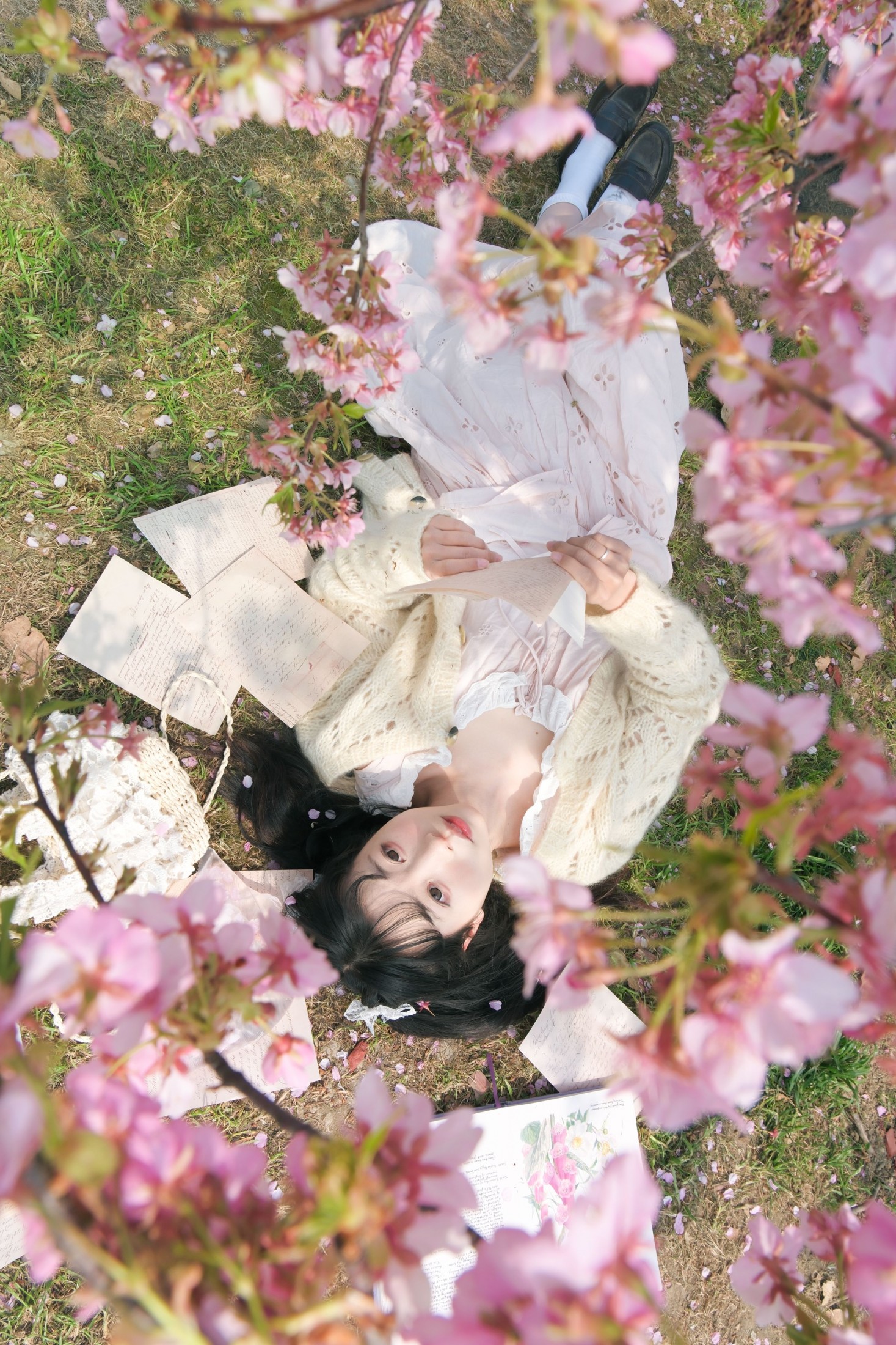 《樱花飘落的速度是秒速五厘米》[10P]