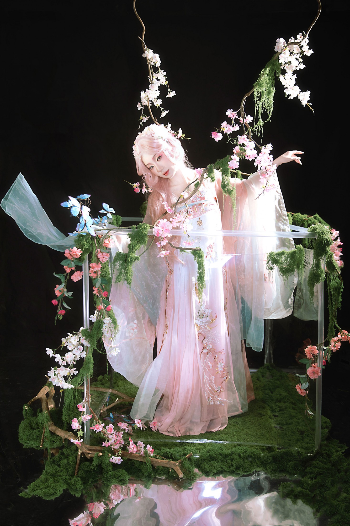 九上天 - 《花房里的花成精了》[11P]