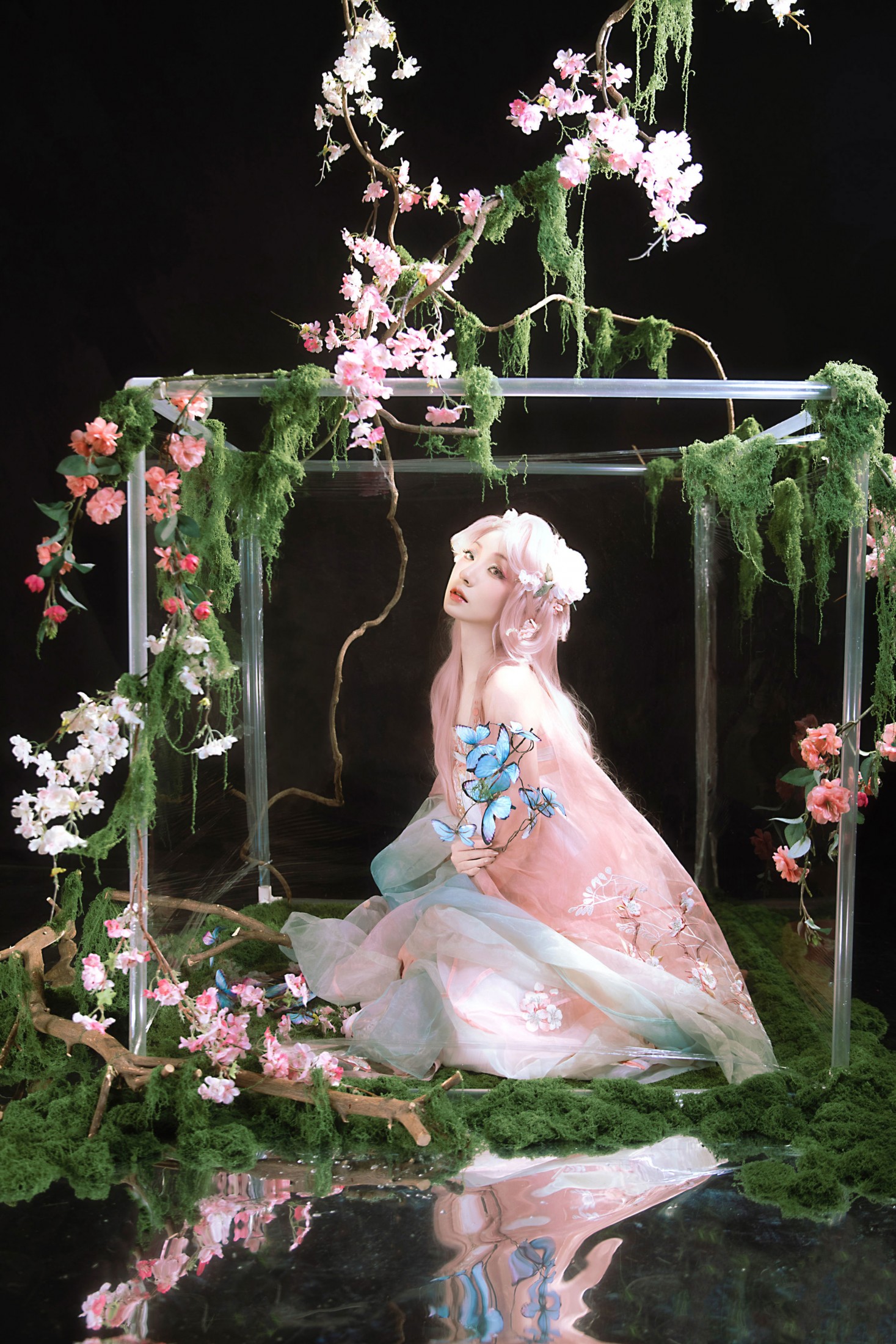 九上天 - 《花房里的花成精了》[11P]