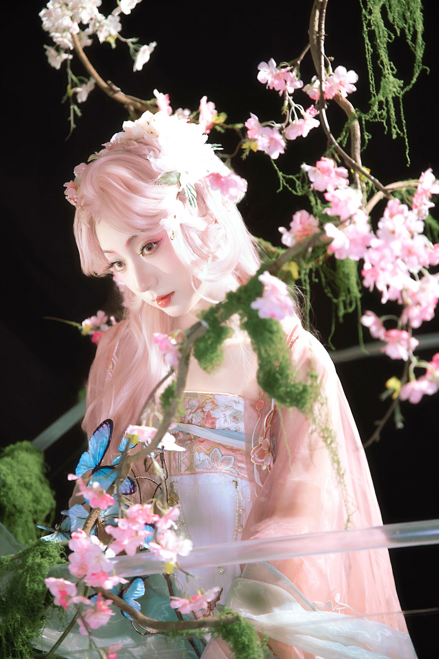 九上天 - 《花房里的花成精了》[11P]