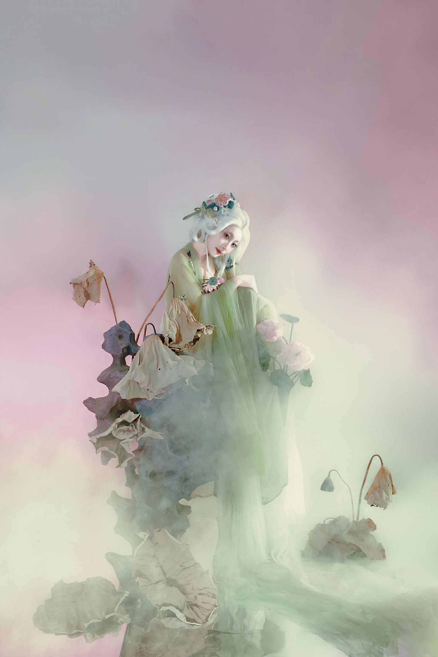 九上天 - 《枯荷｜“万物生”》[11P]