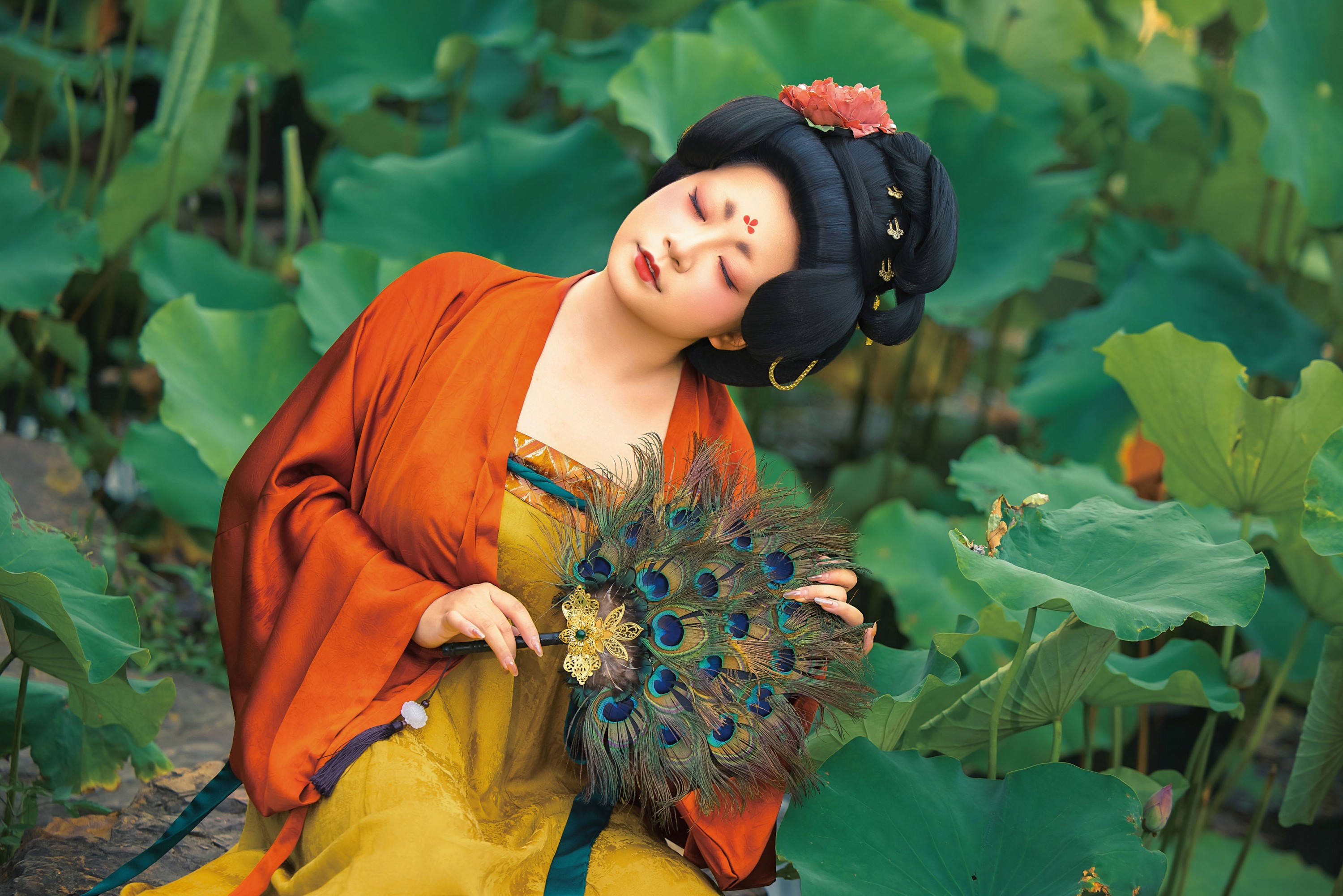 祈年年 - 《夏日荷》[11P]