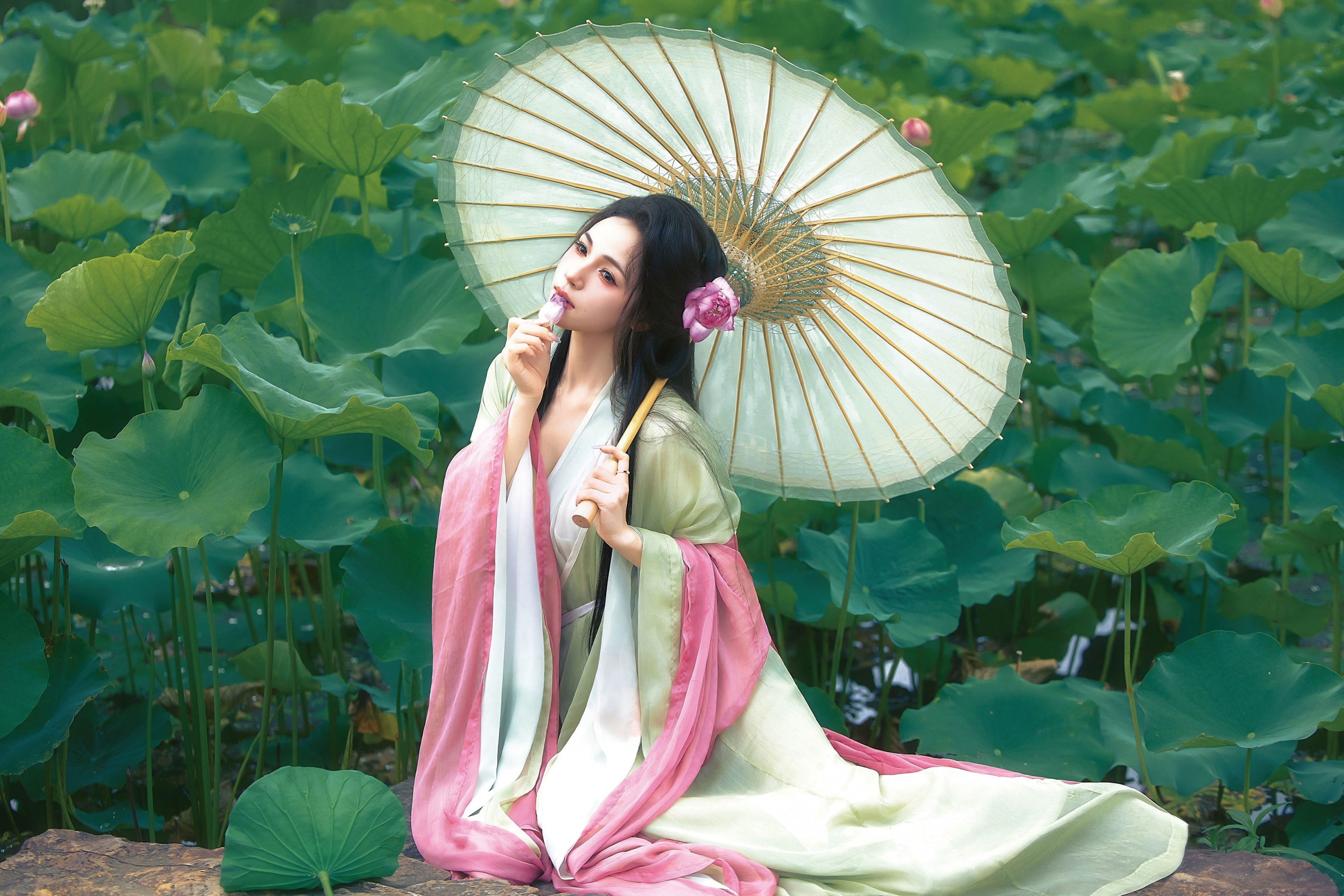 顾小满 - 《清冷荷》[13P]