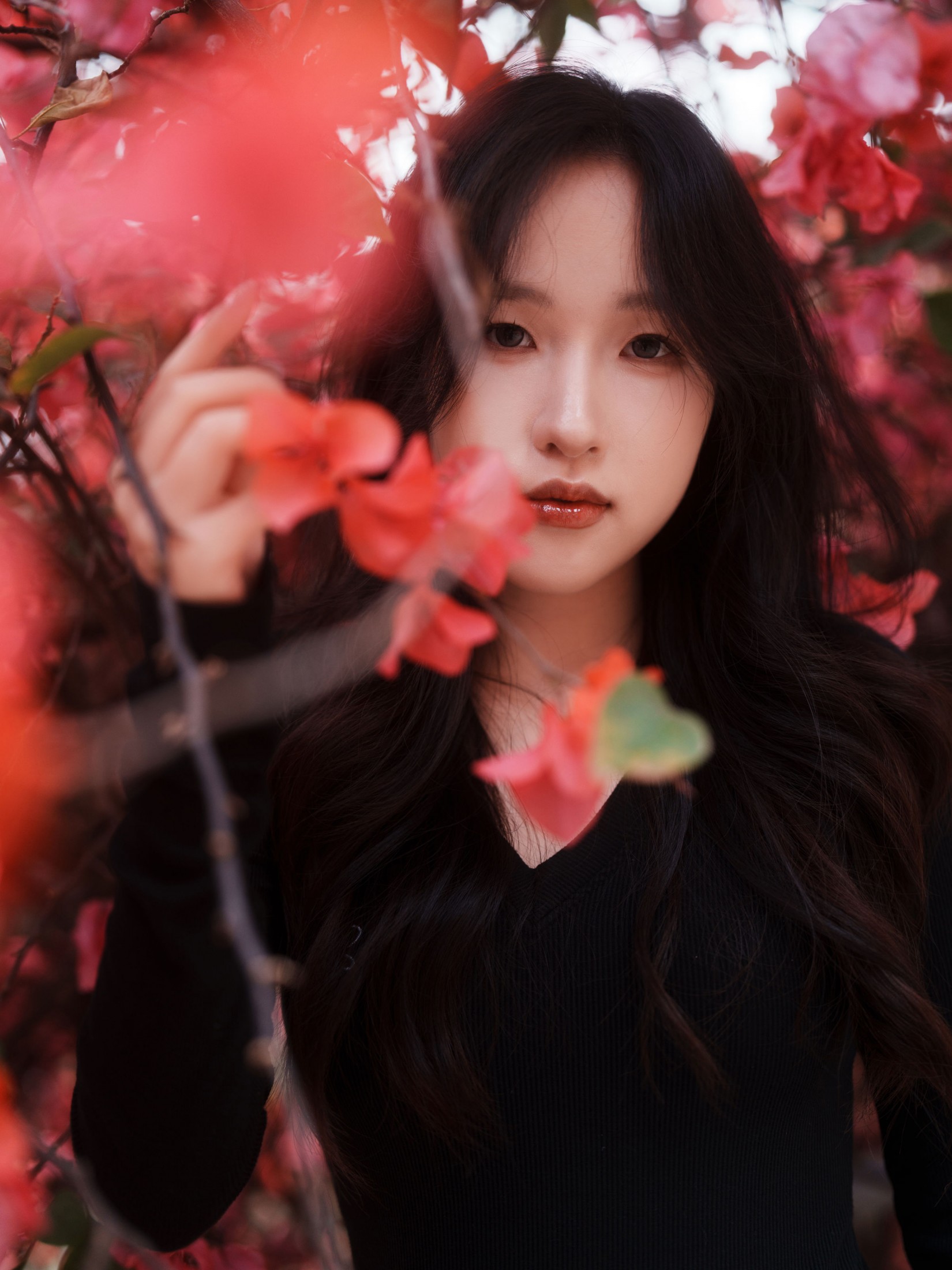 《三角梅美脸》[53P]