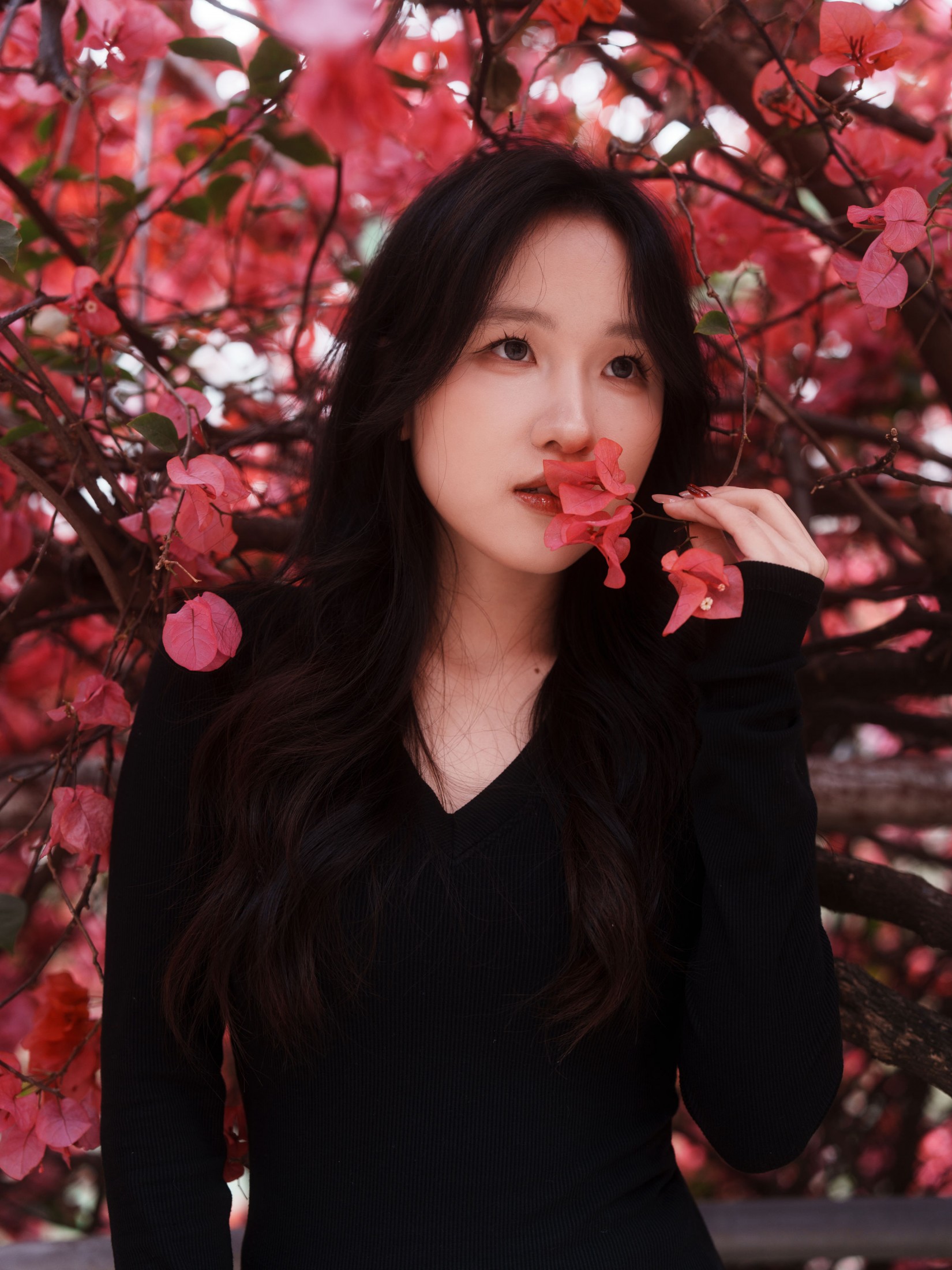 《三角梅美脸》[53P]