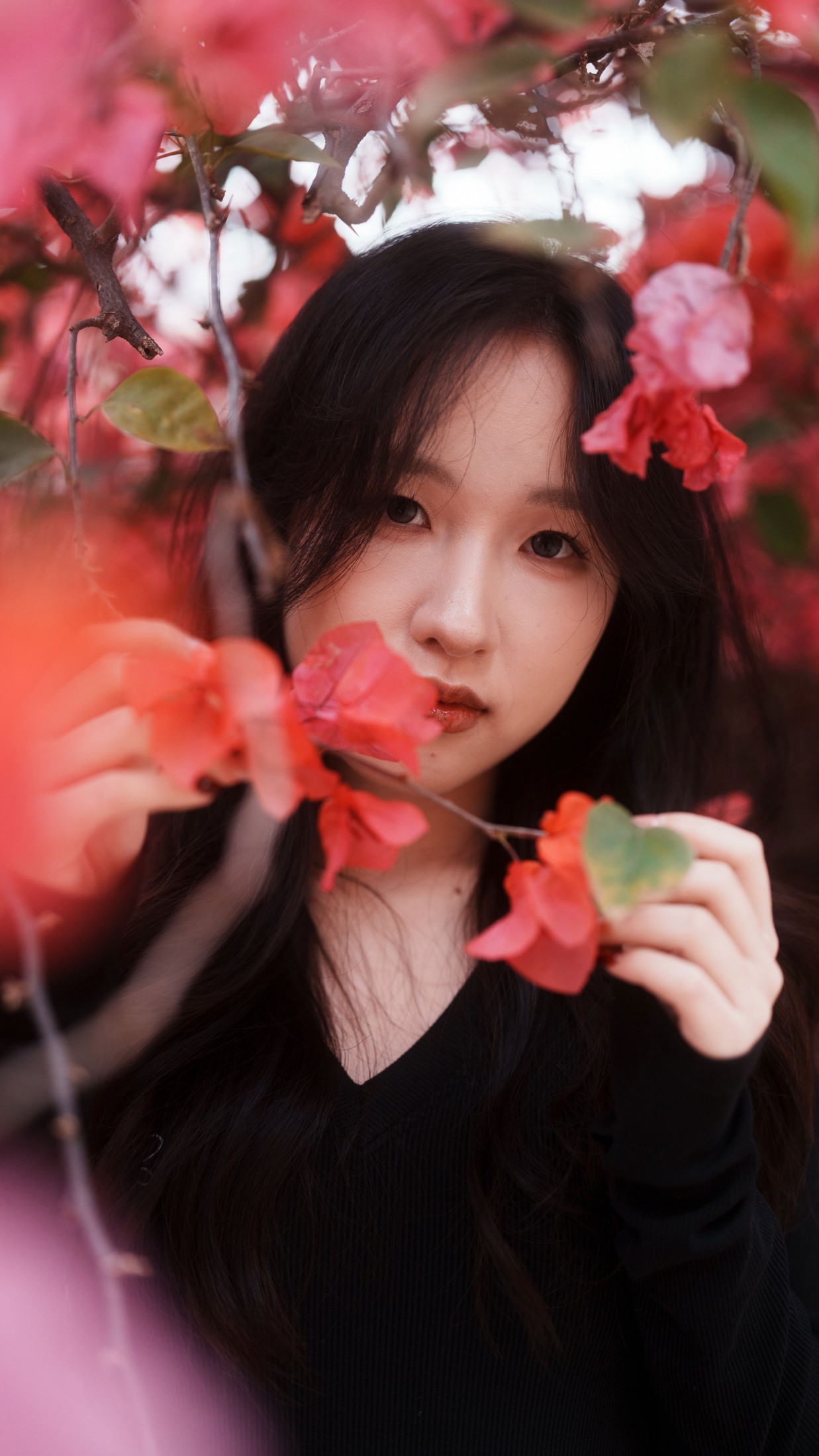 《三角梅美脸》[53P]