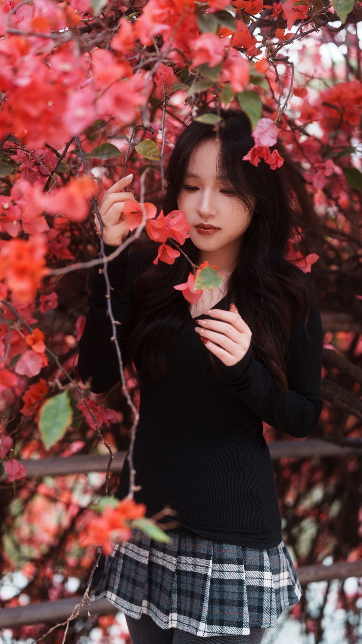 《三角梅美脸》[53P]