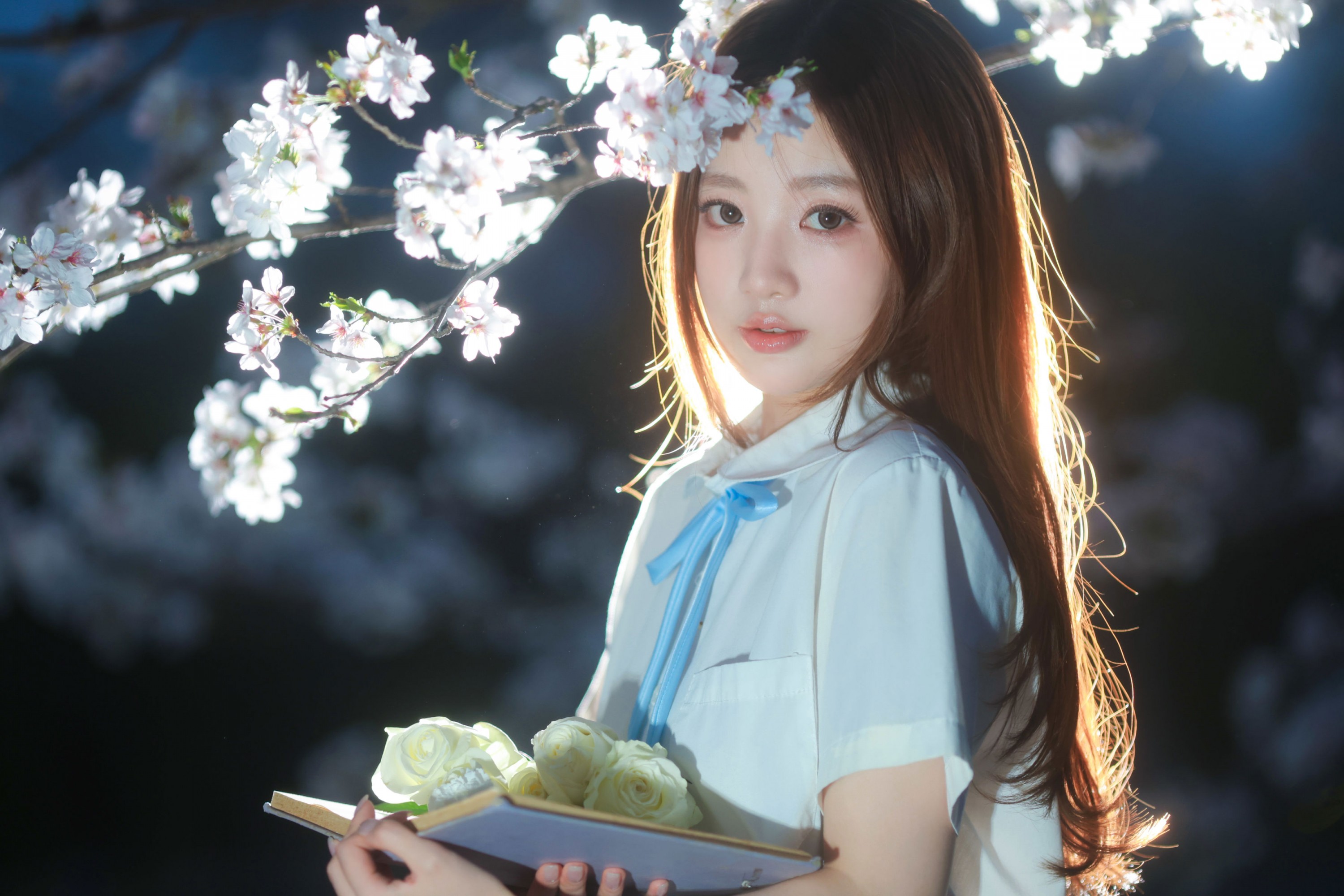 就叫常天然 - 《夜樱》[9P]