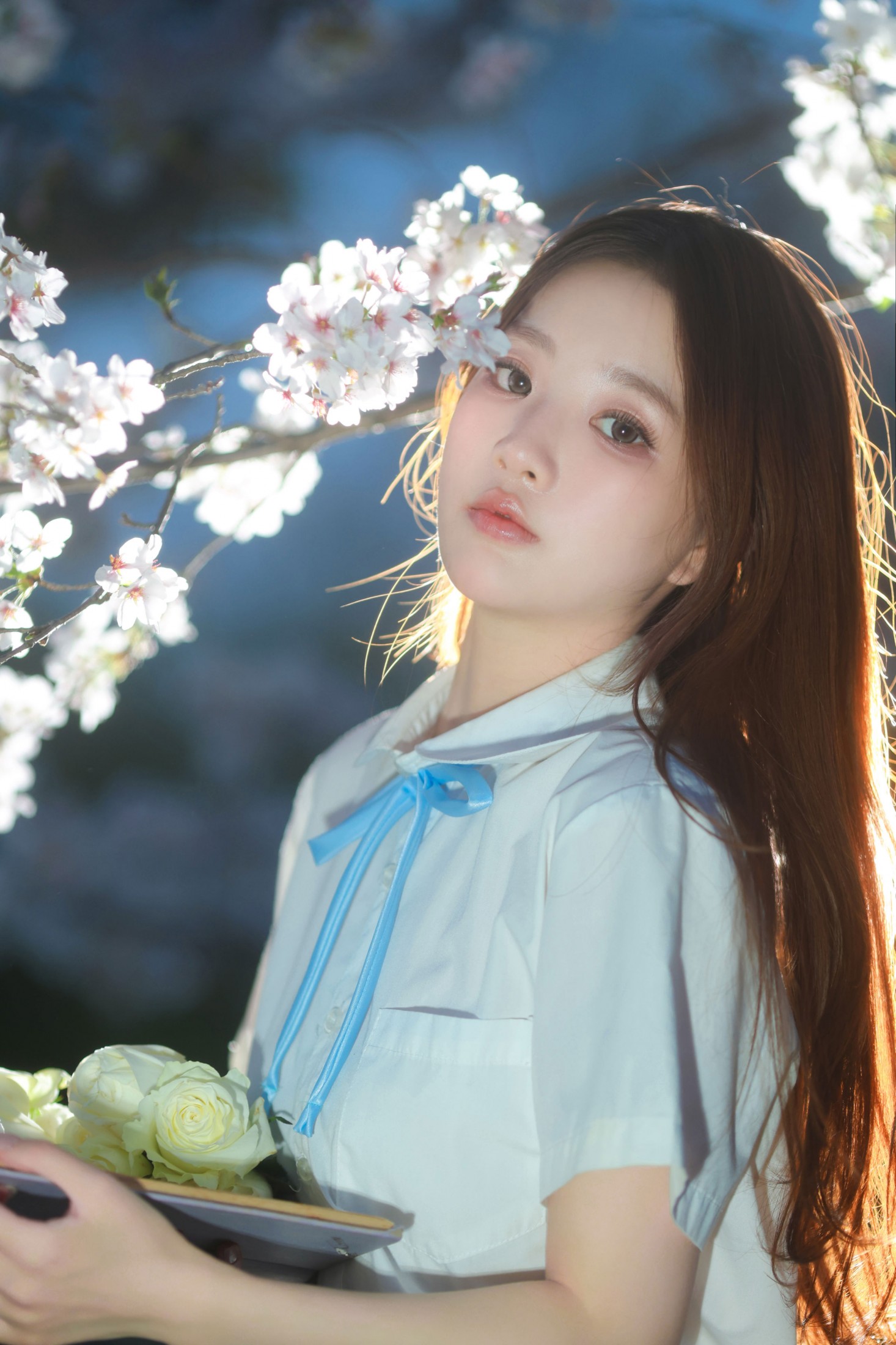 就叫常天然 – 《夜樱》[9P]