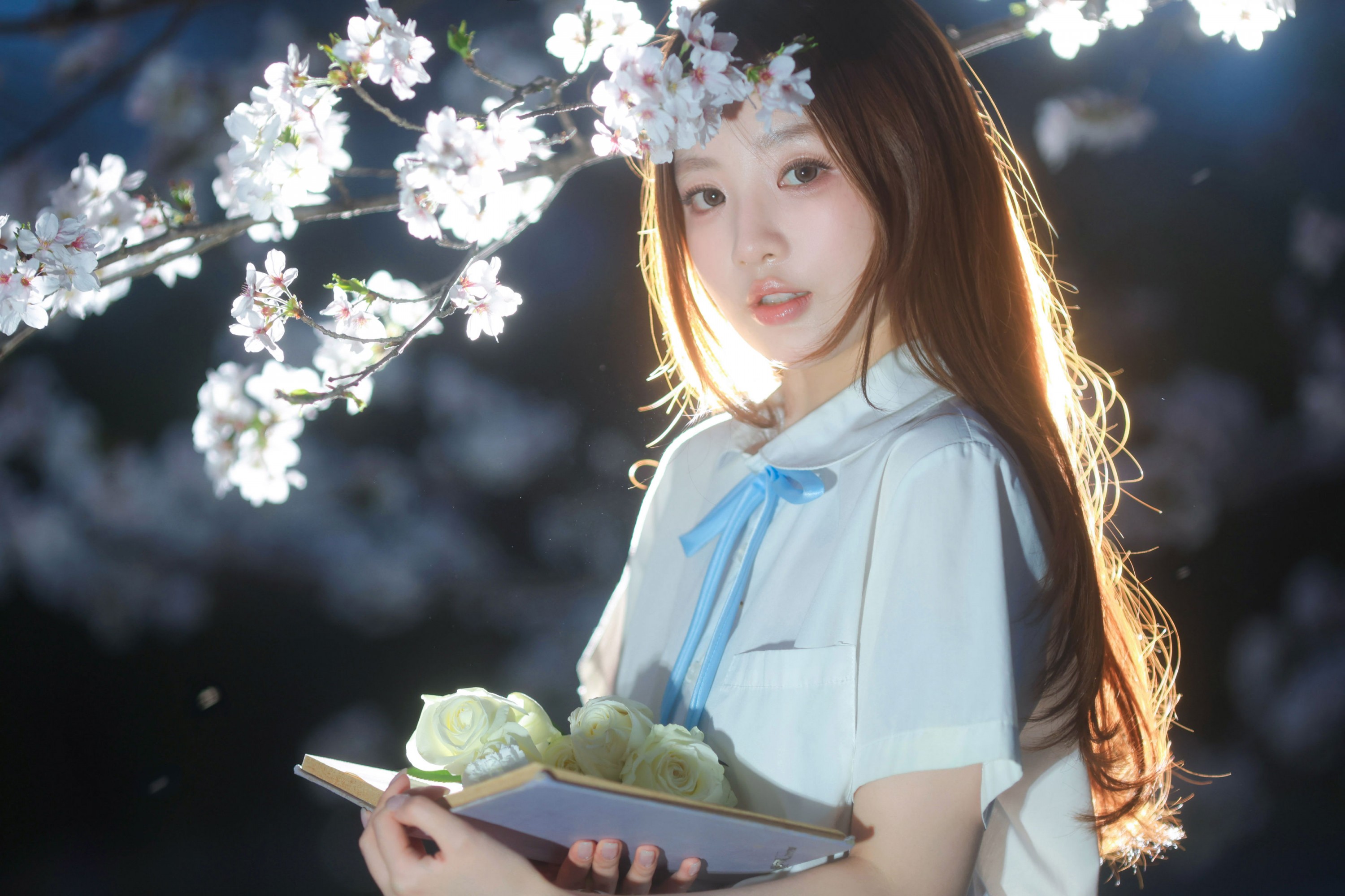 就叫常天然 - 《夜樱》[9P]