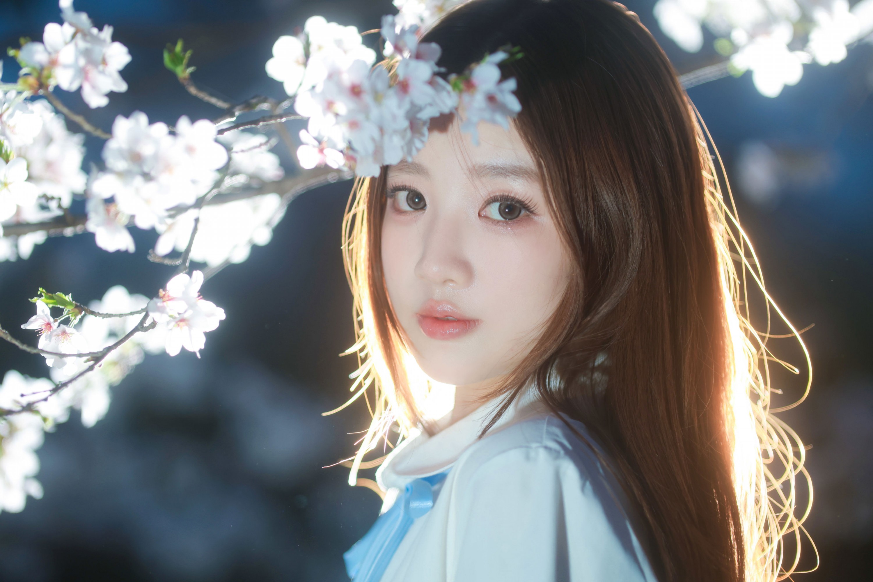 就叫常天然 - 《夜樱》[9P]