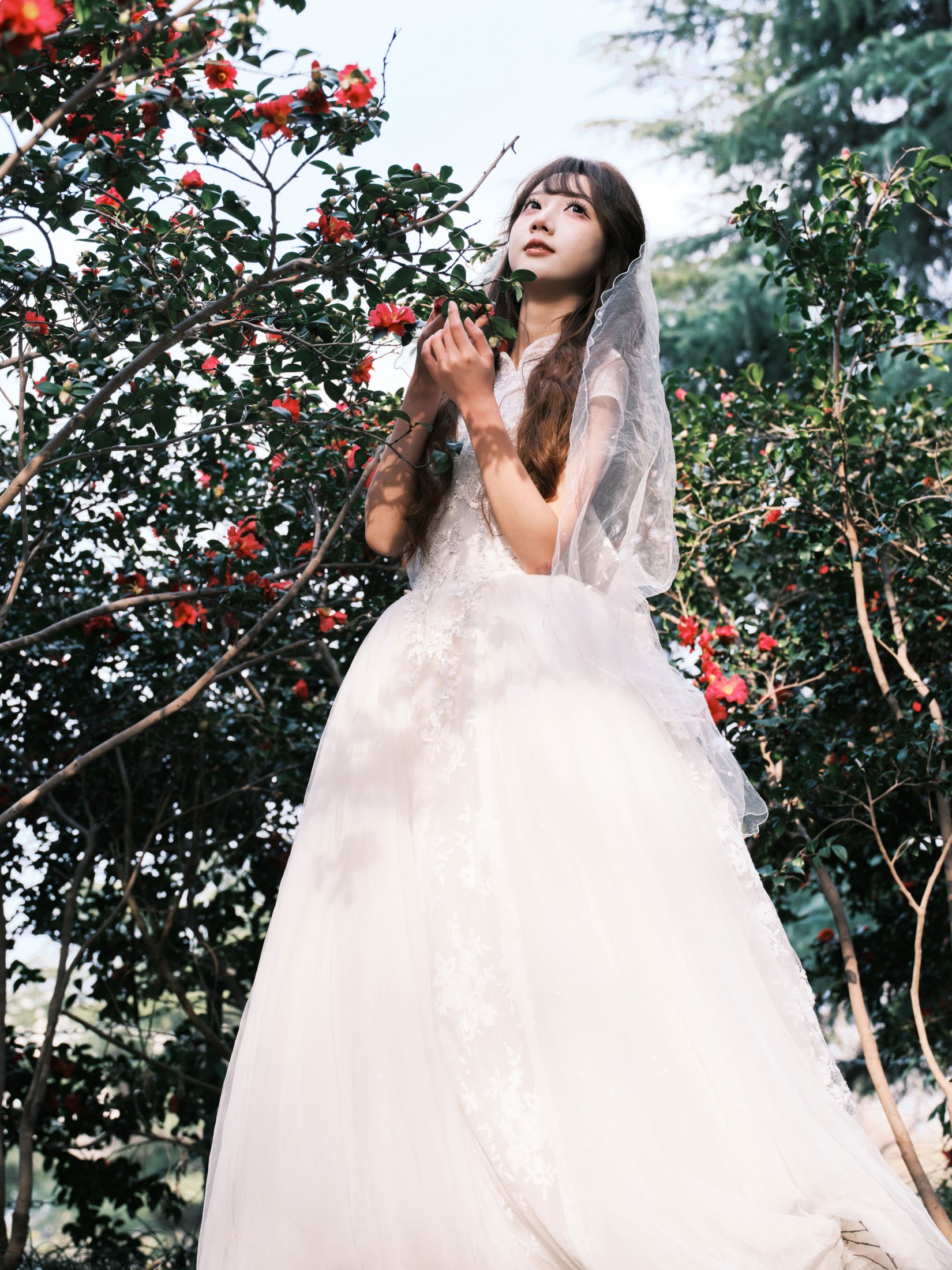 醒醒 - 《山茶花新娘体验卡》[40P]