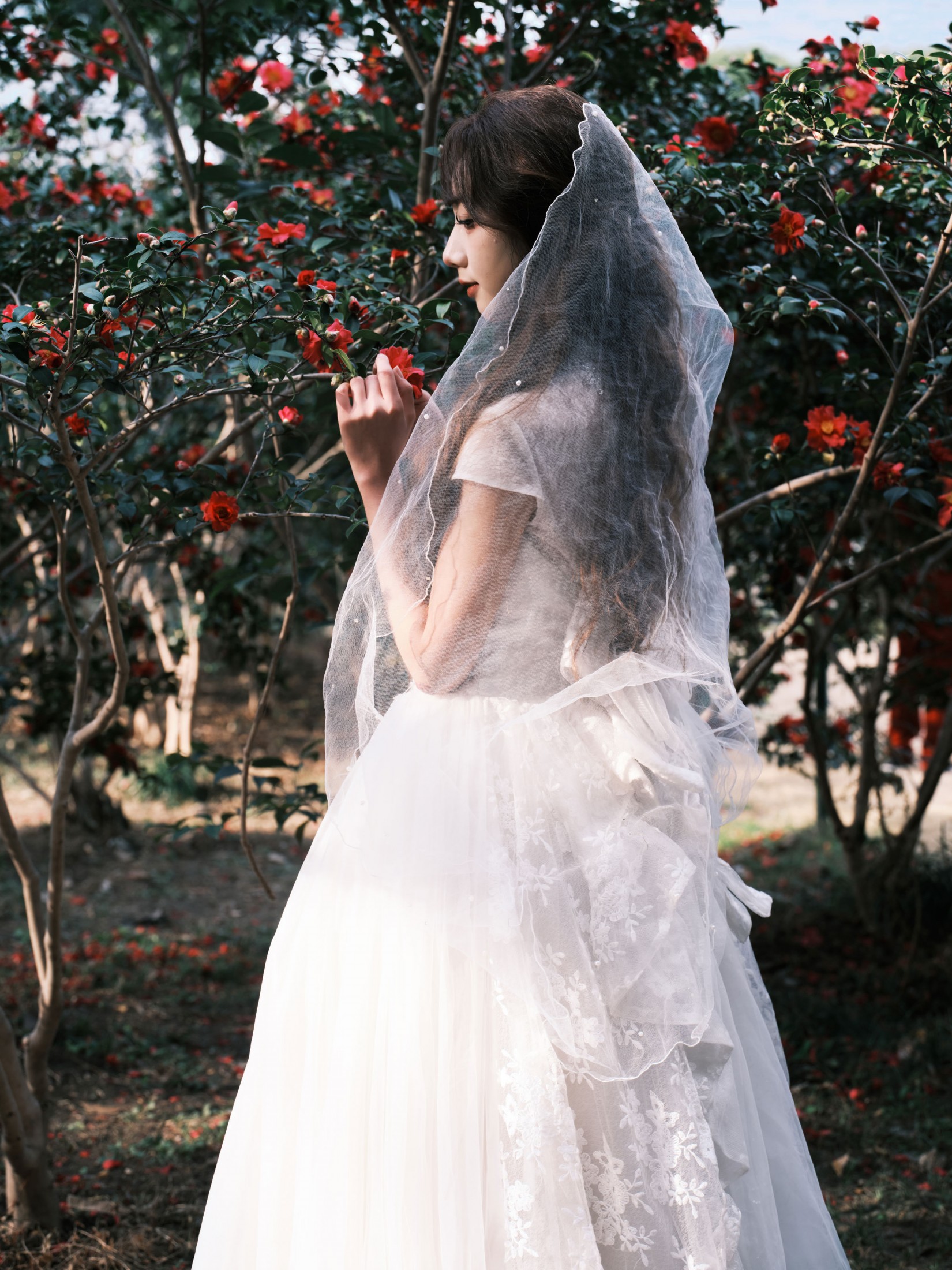 醒醒 - 《山茶花新娘体验卡》[40P]