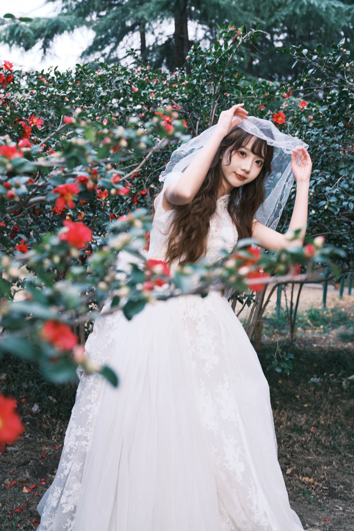 醒醒 – 《山茶花新娘体验卡》[40P]