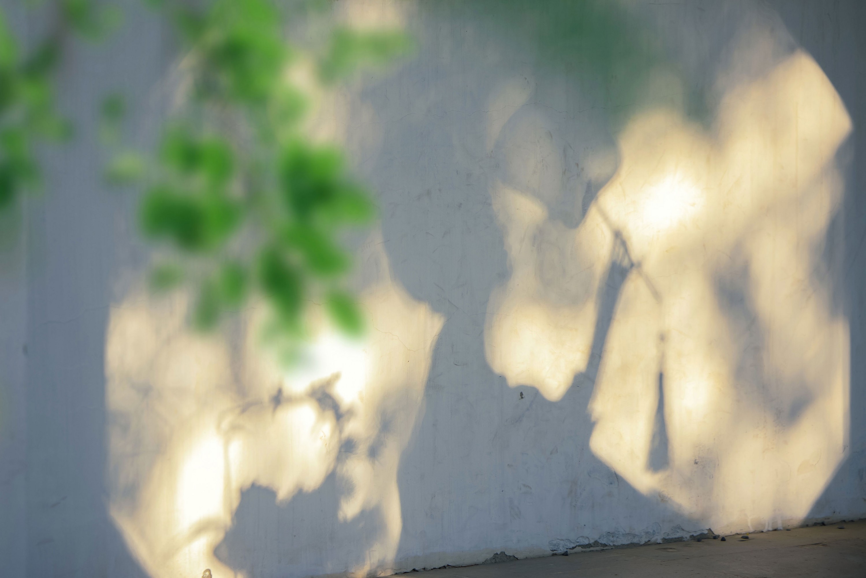 酸奶加心好好次 - 《唐｜“天葩飞堕广寒宫”》[20P]