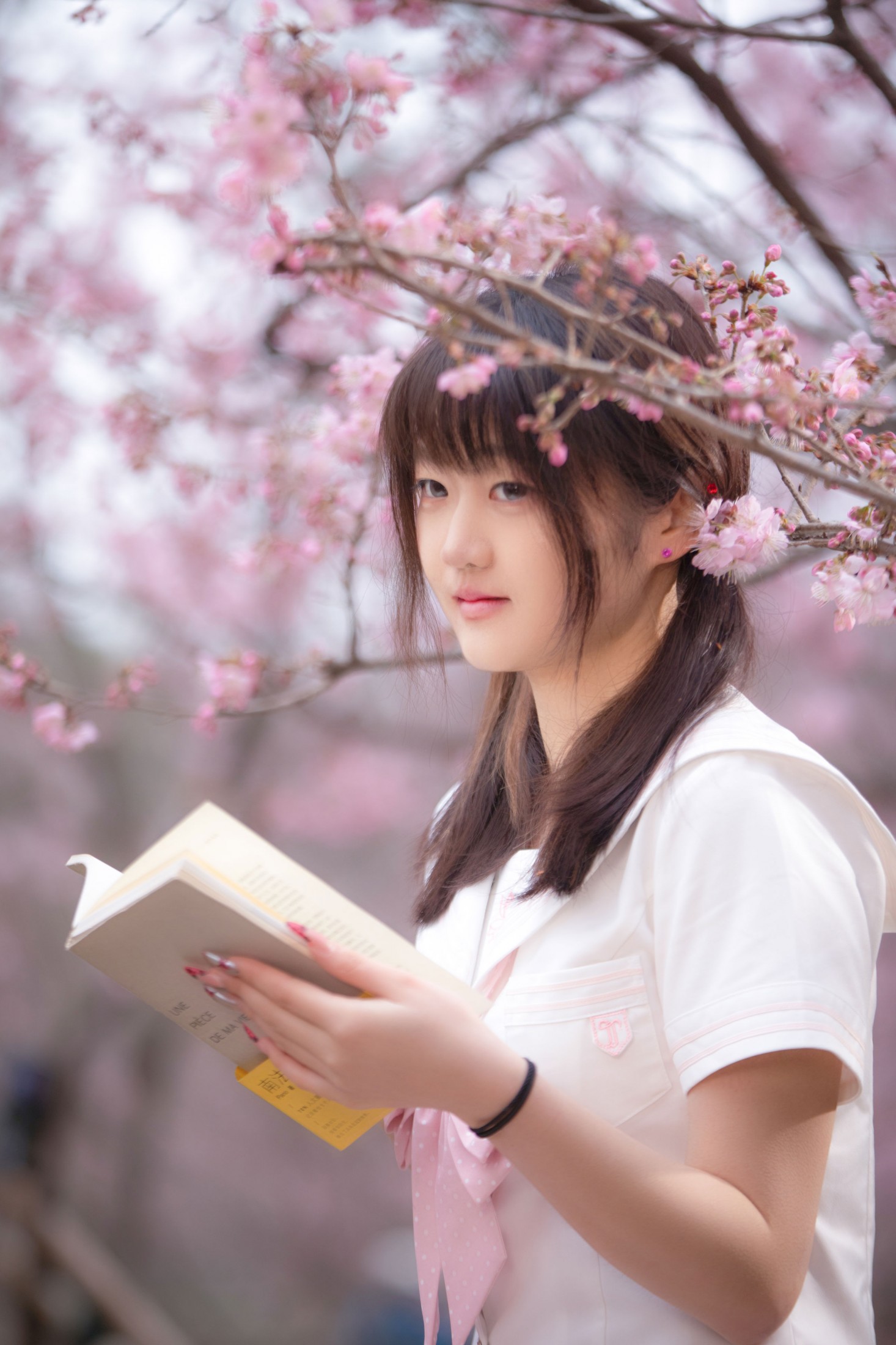 西西 - 《樱花与少女》[10P]