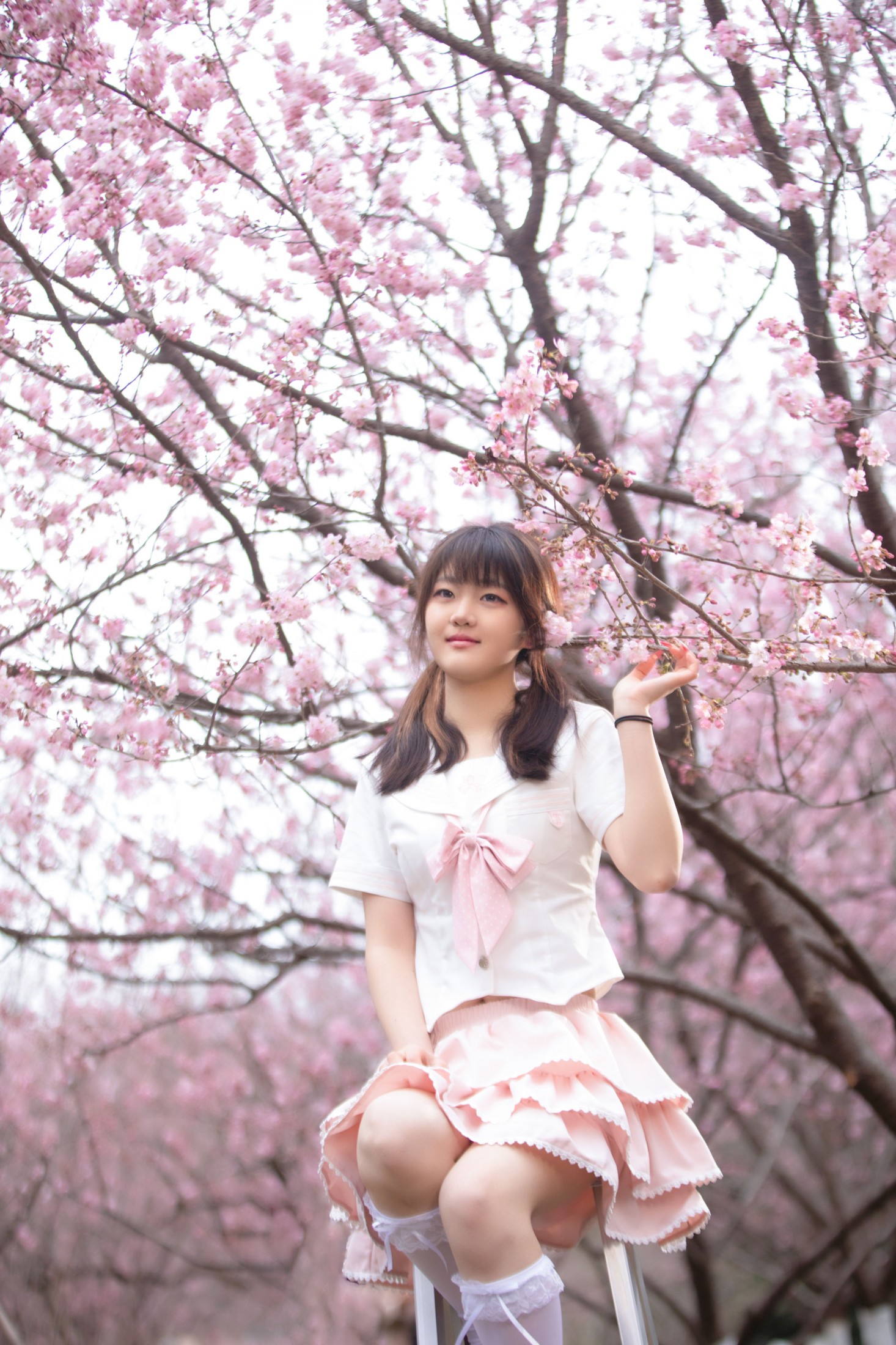 西西 – 《樱花与少女》[10P]