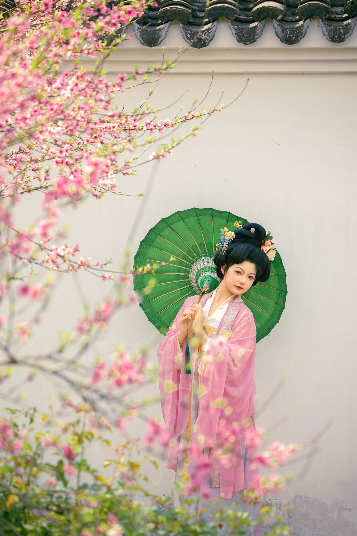 《春日海棠》[12P]