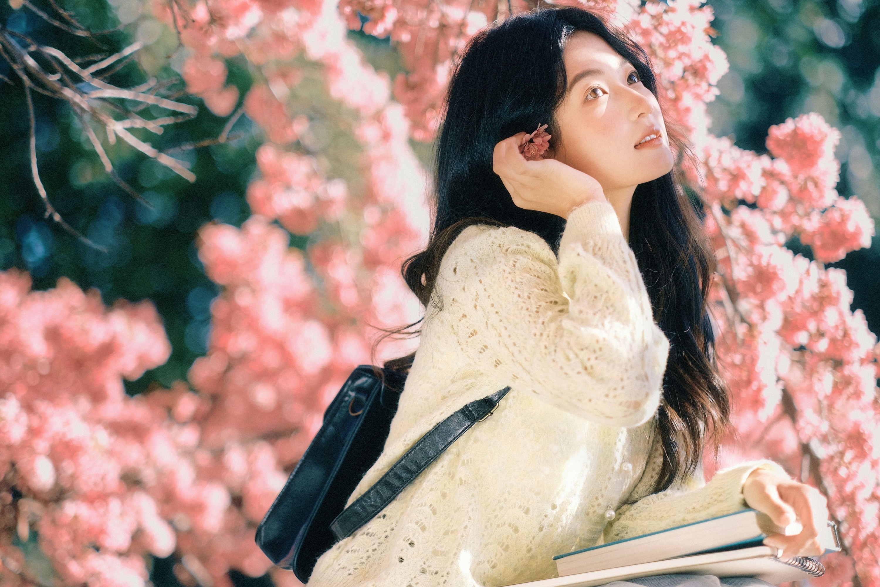 豆芽菜iFrc - 《冬樱》[22P]