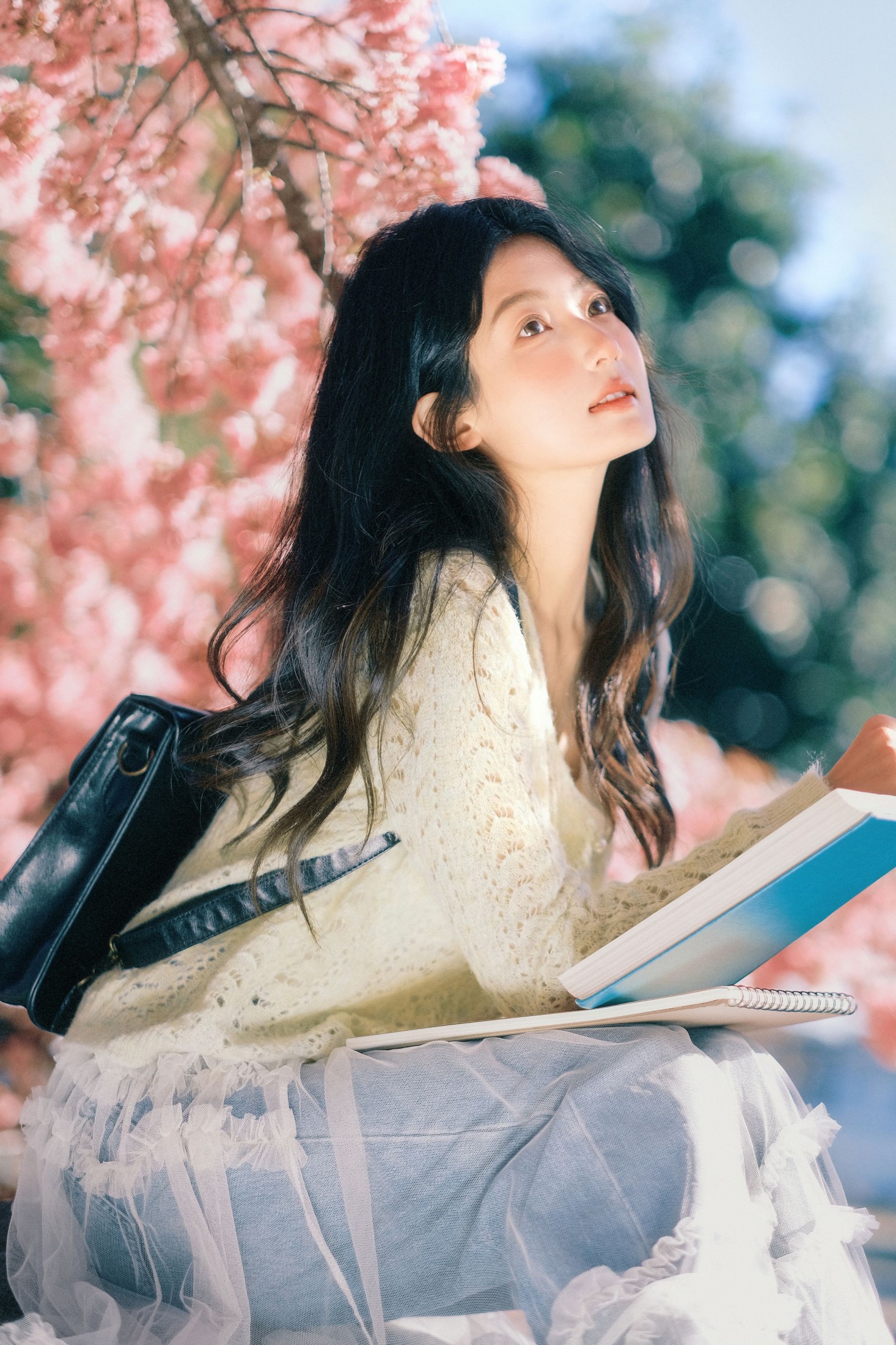 豆芽菜iFrc - 《冬樱》[22P]