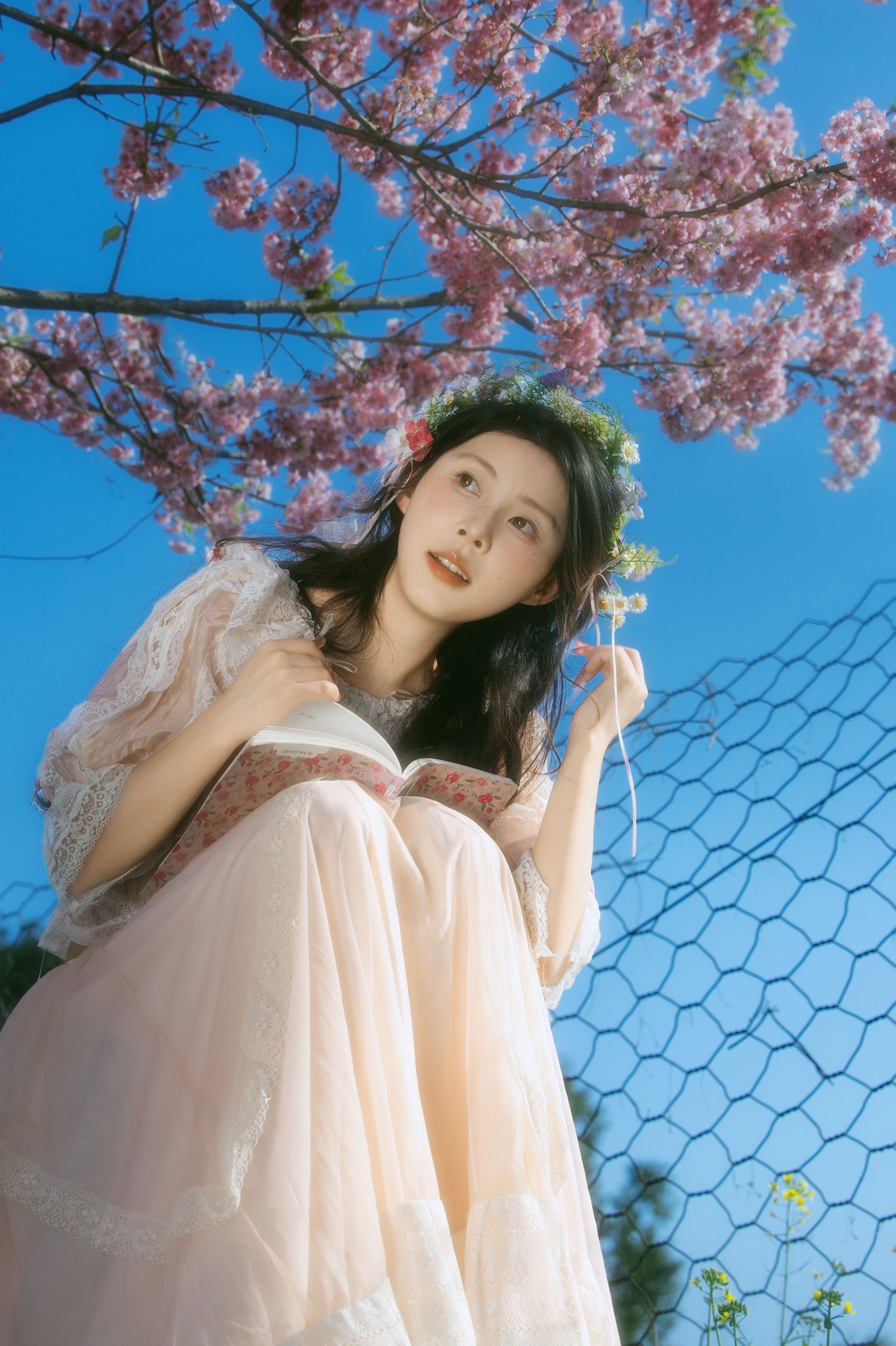 露丝 - 《春樱》[24P]