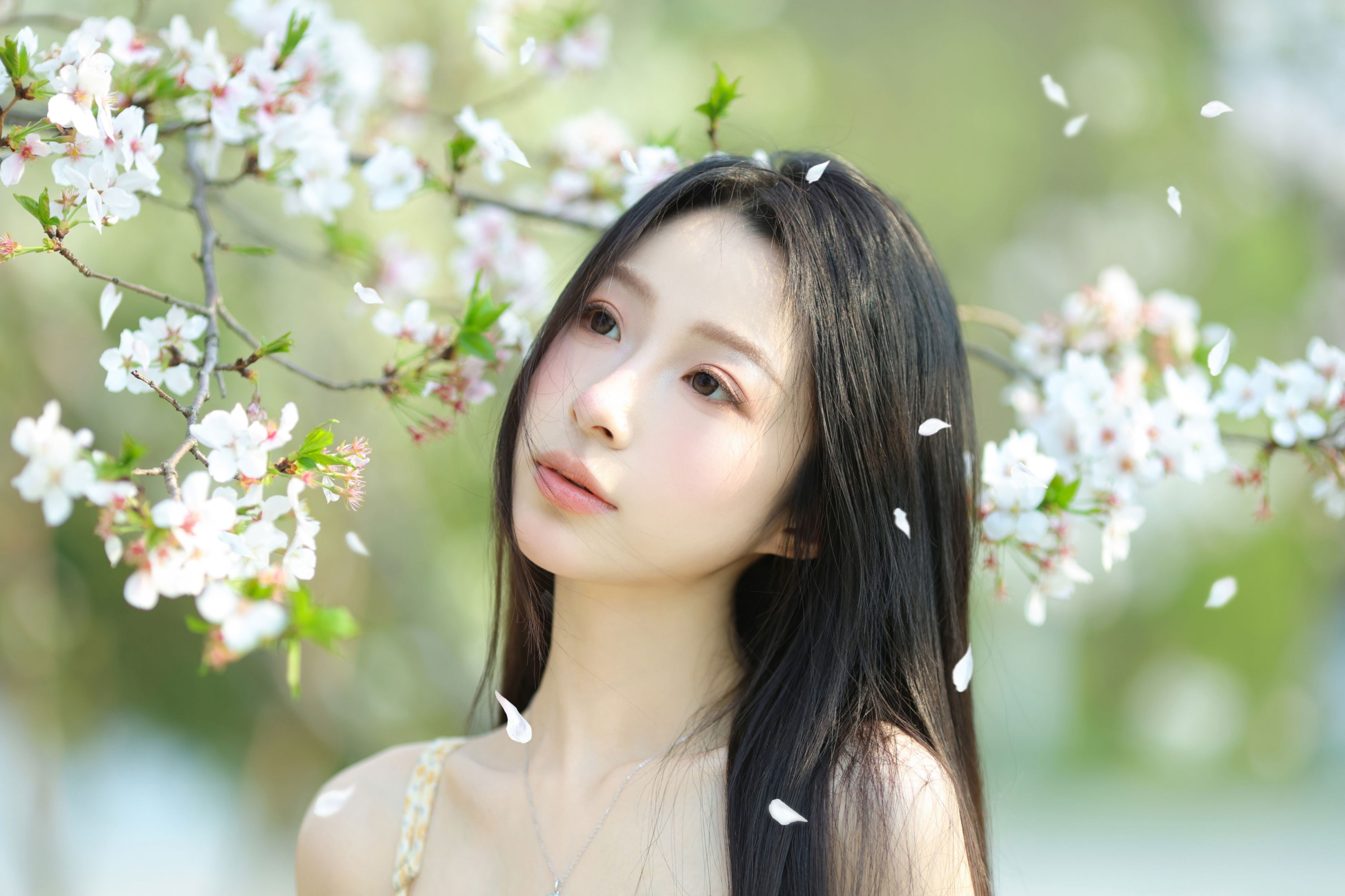 小吕板板 - 《樱花树下》[14P]