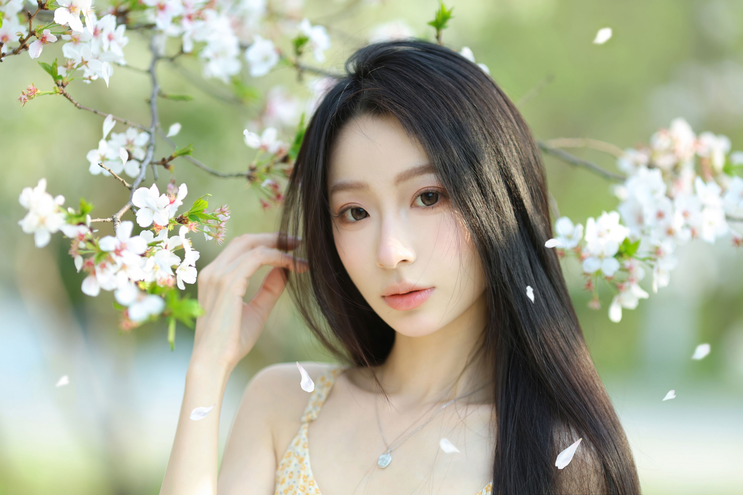 小吕板板 - 《樱花树下》[14P]