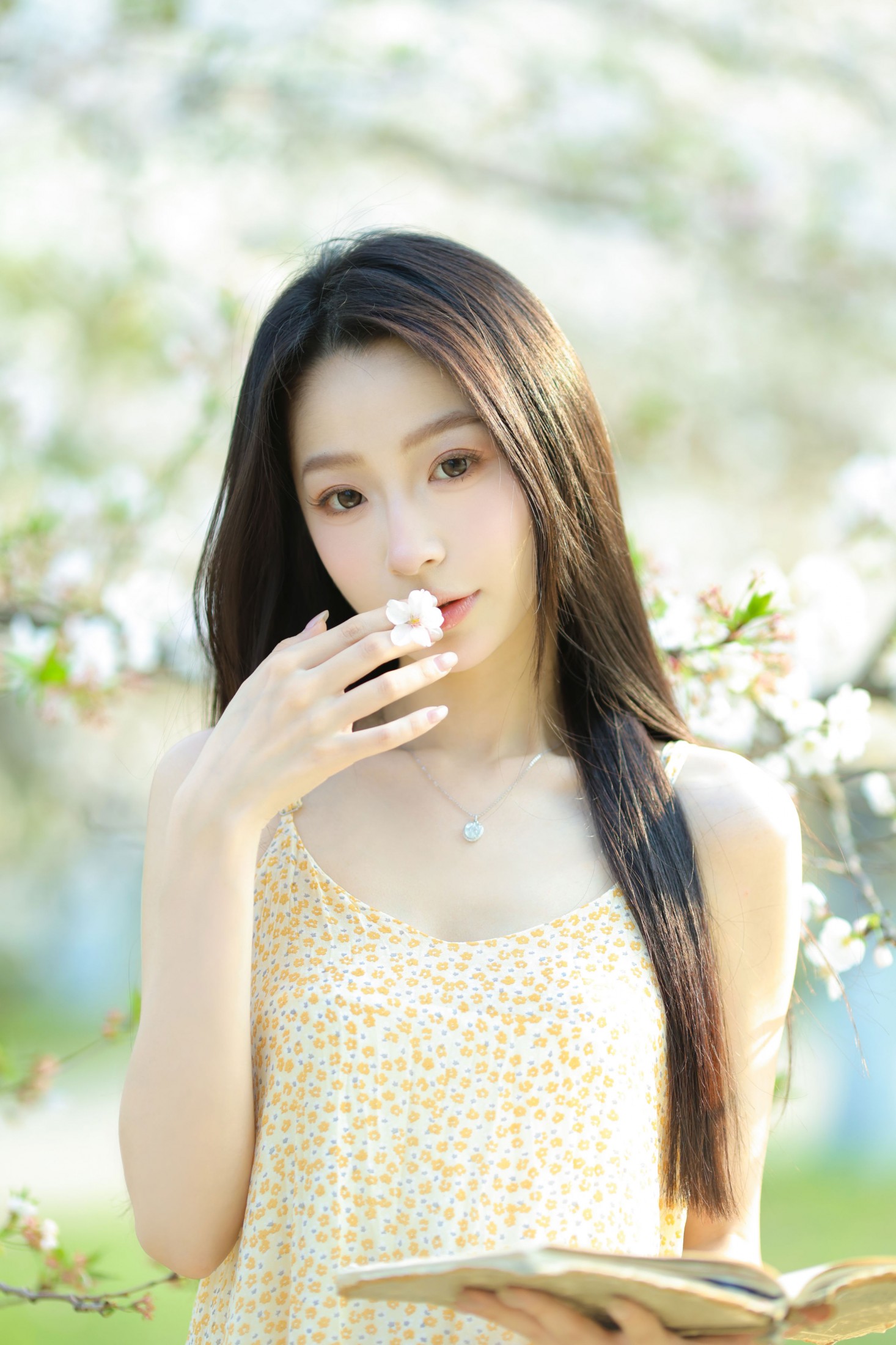 小吕板板 – 《樱花树下》[14P]