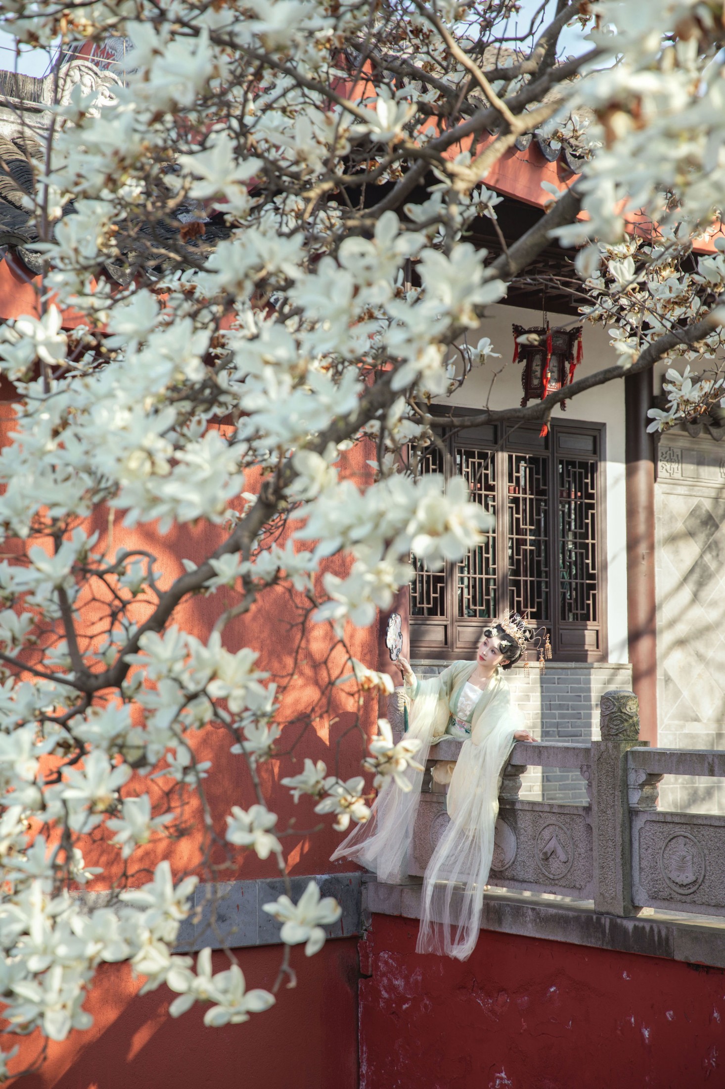 酸奶加心好好次 - 《红墙玉兰》[16P]