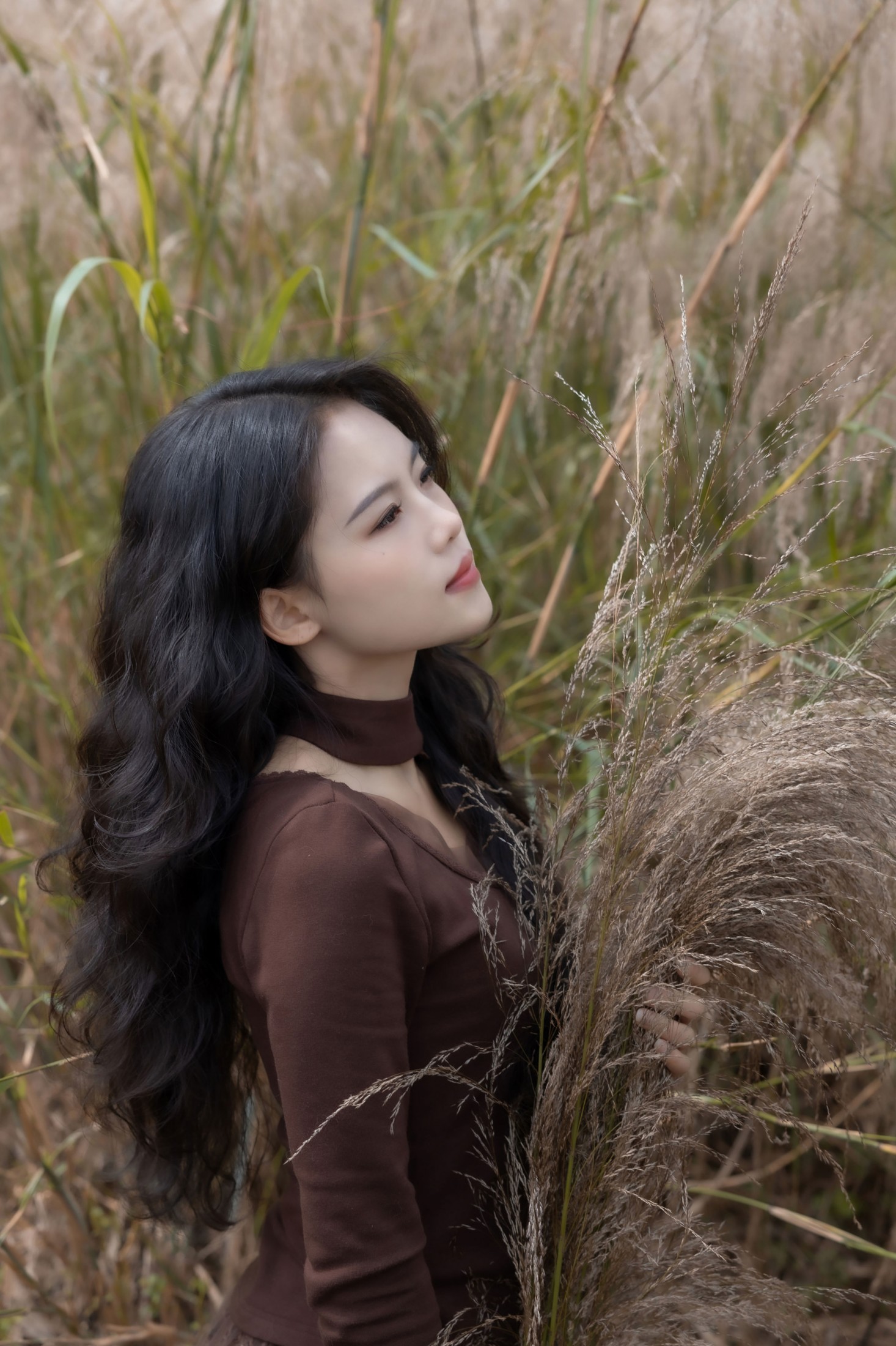 陈十二ing - 《暮色赴荒草》[26P]