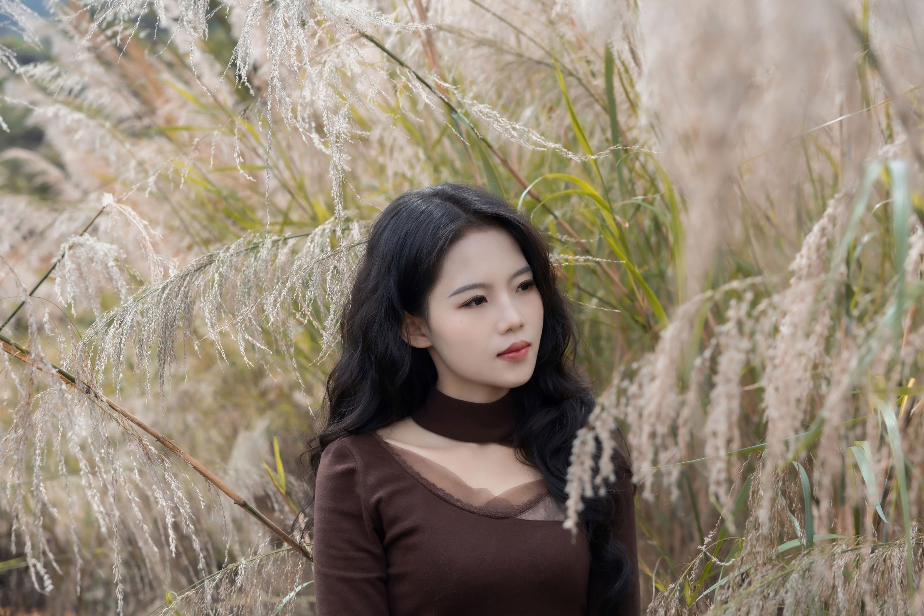 陈十二ing - 《暮色赴荒草》[26P]