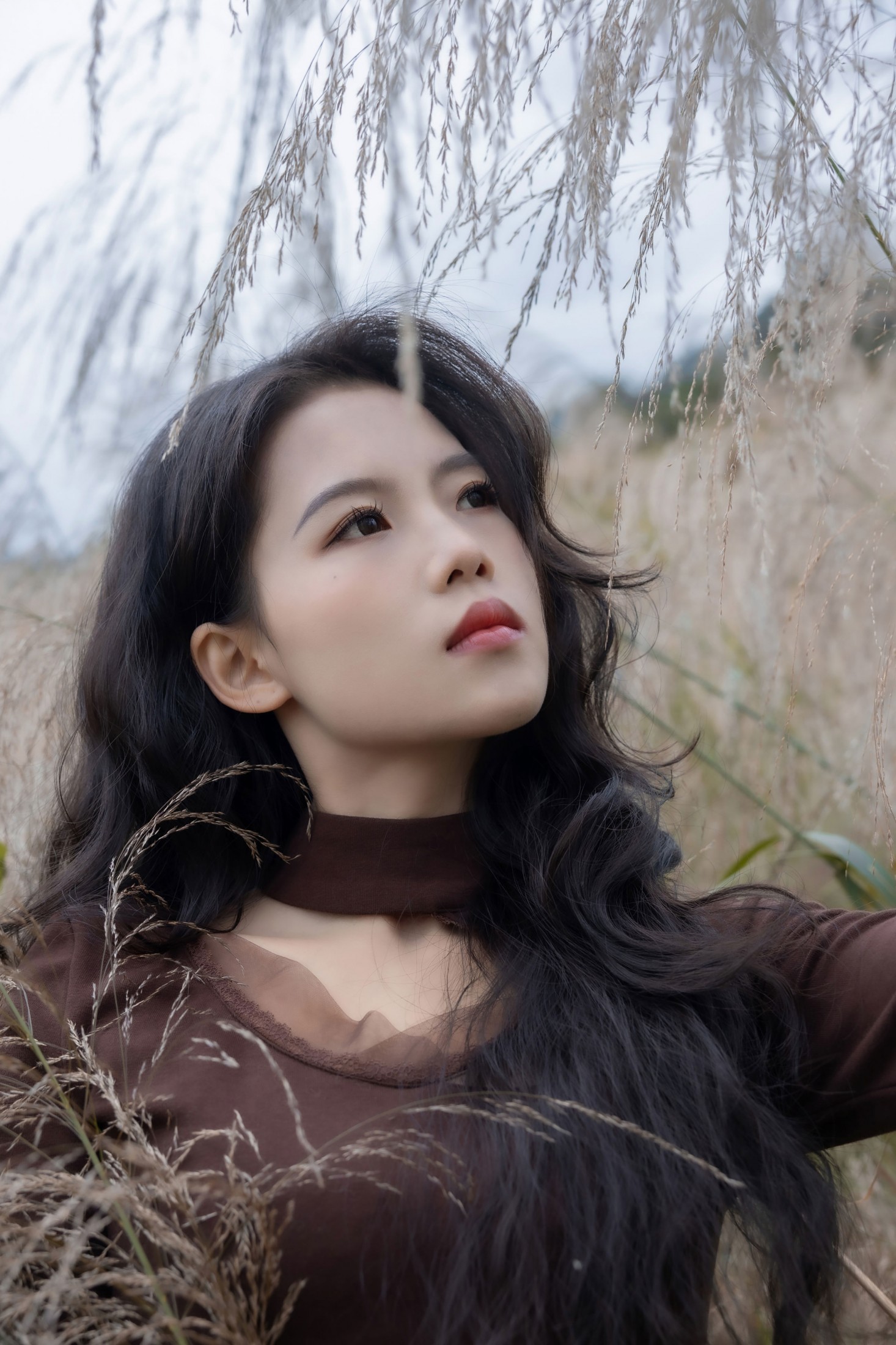 陈十二ing - 《暮色赴荒草》[26P]