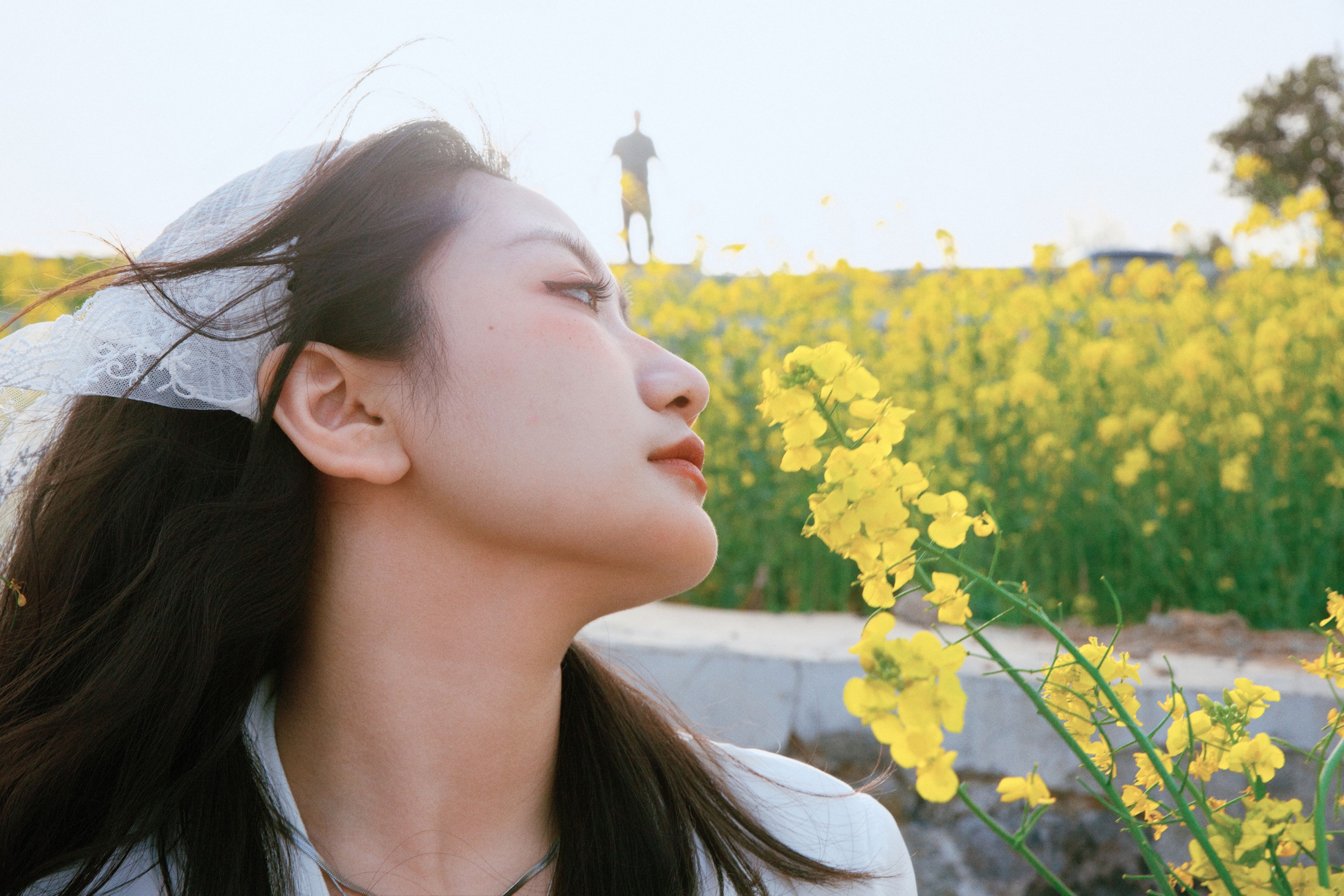 《黄色的生命力》[14P]