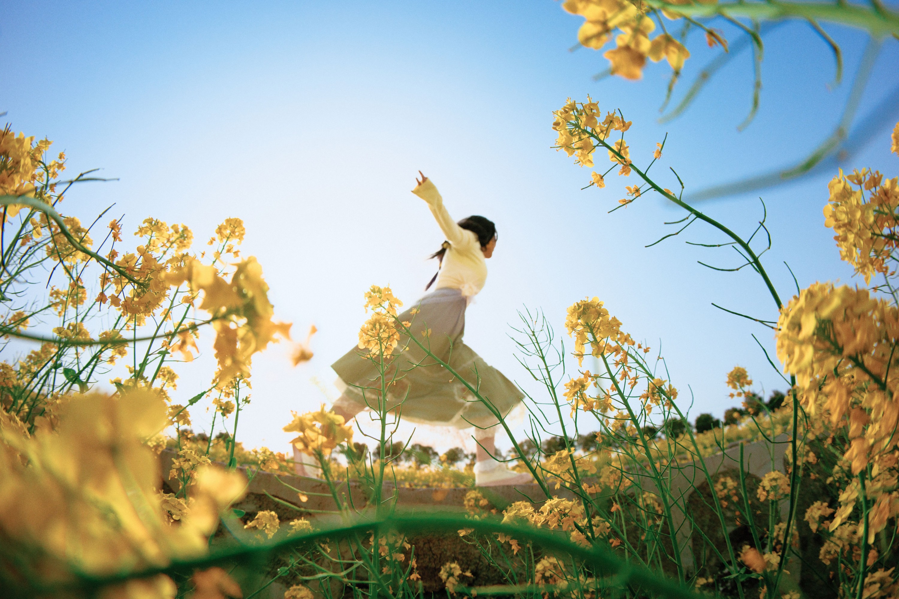 《黄色的生命力》[14P]