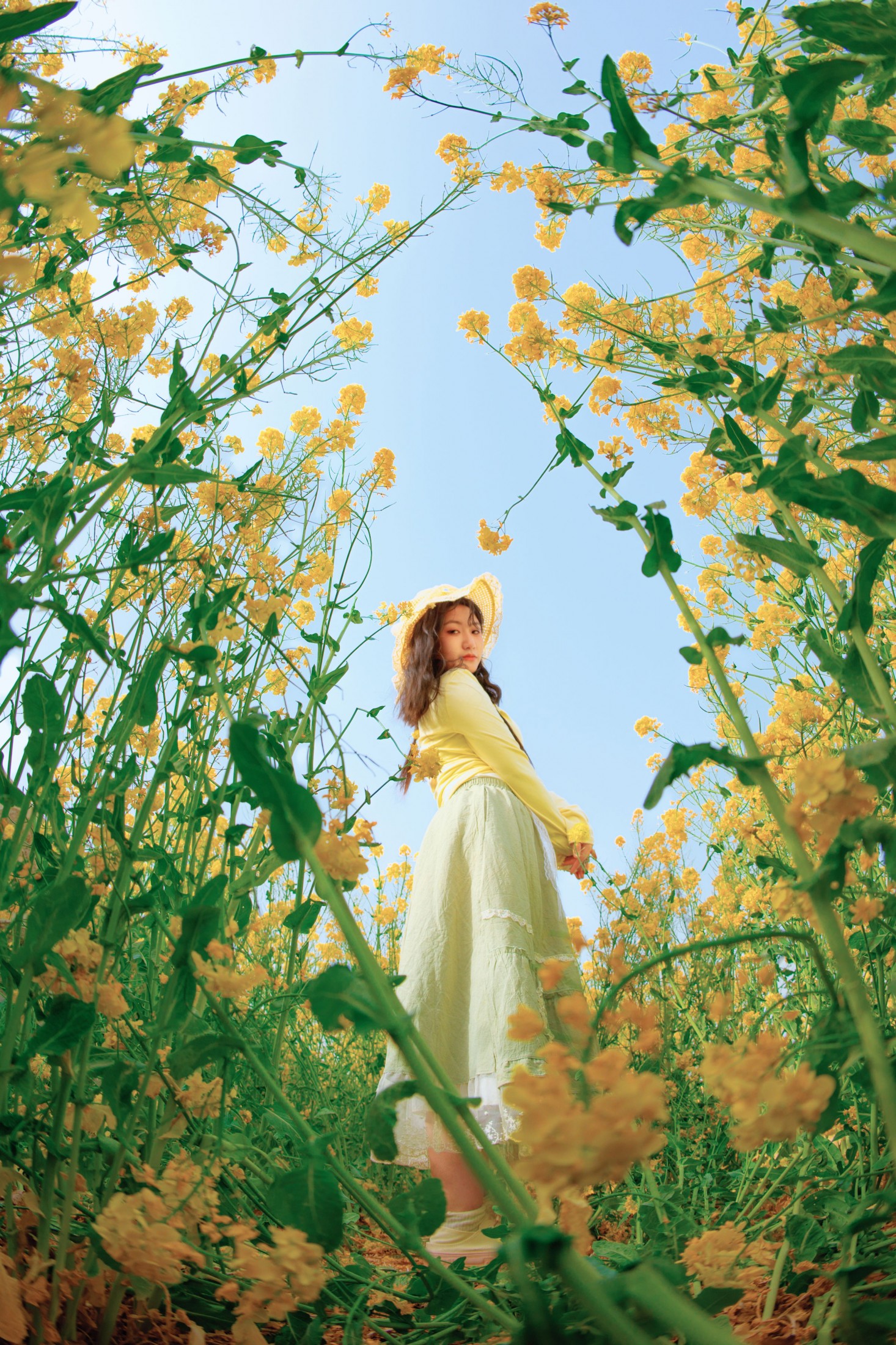 《黄色的生命力》[14P]