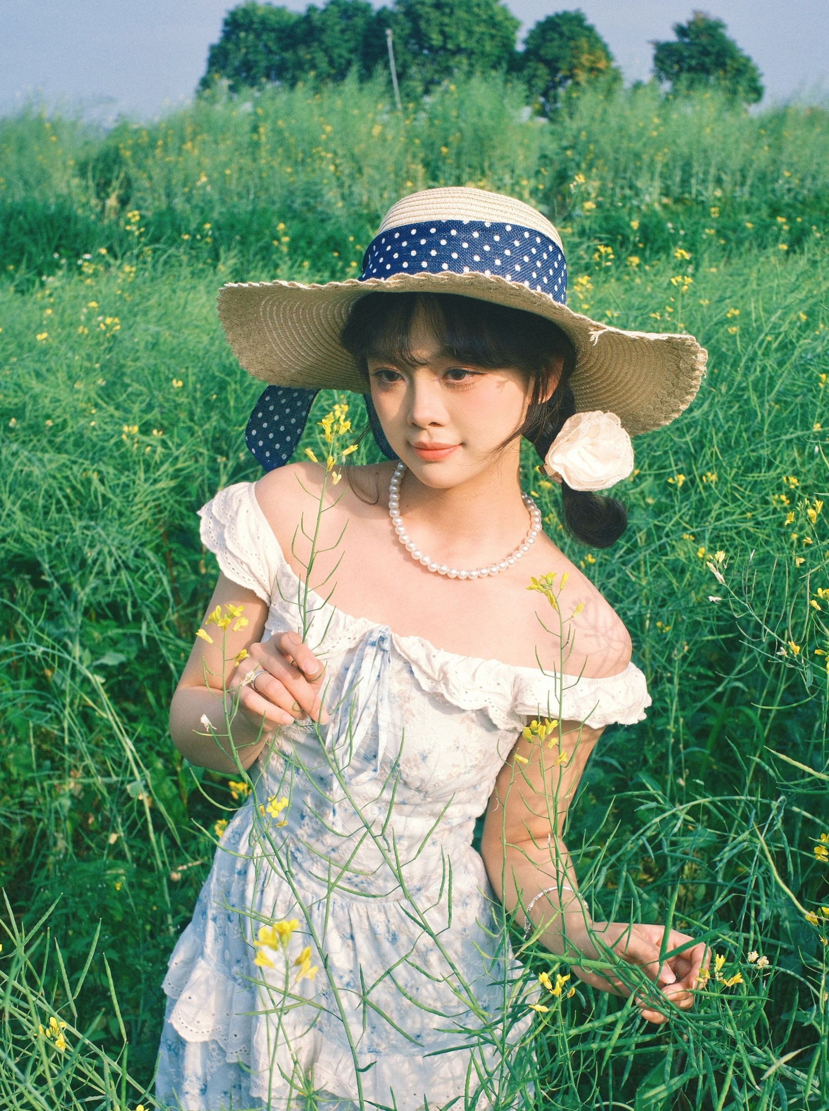 《春日油菜花》[11P]