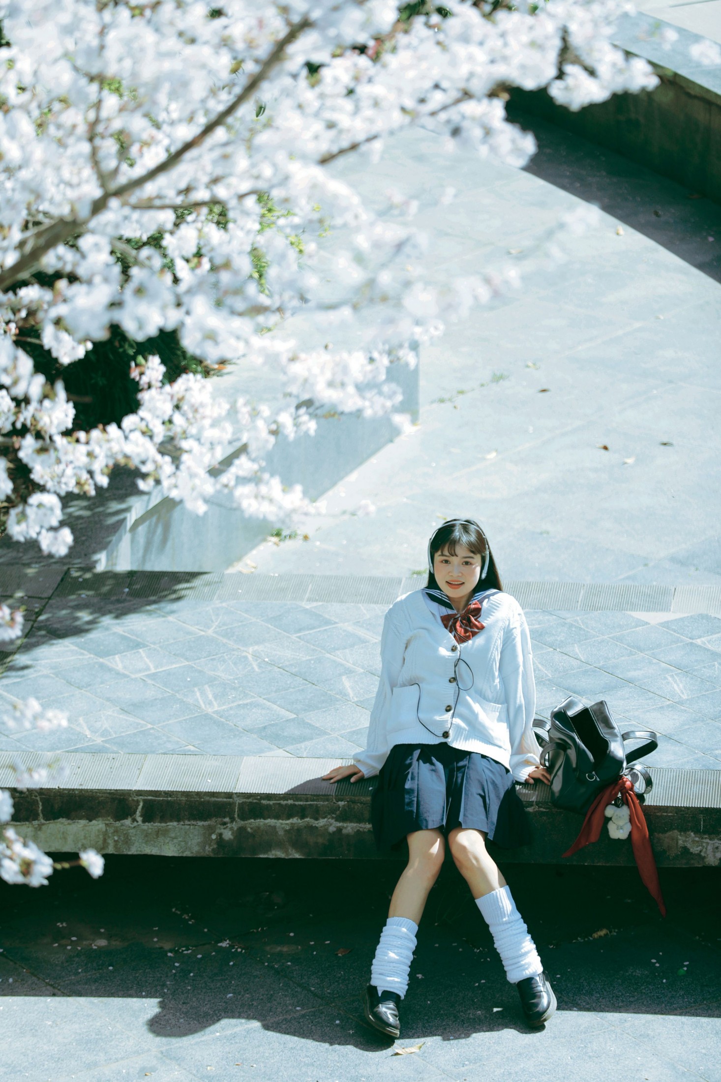 萌三碎 - 《白樱少女》[12P]